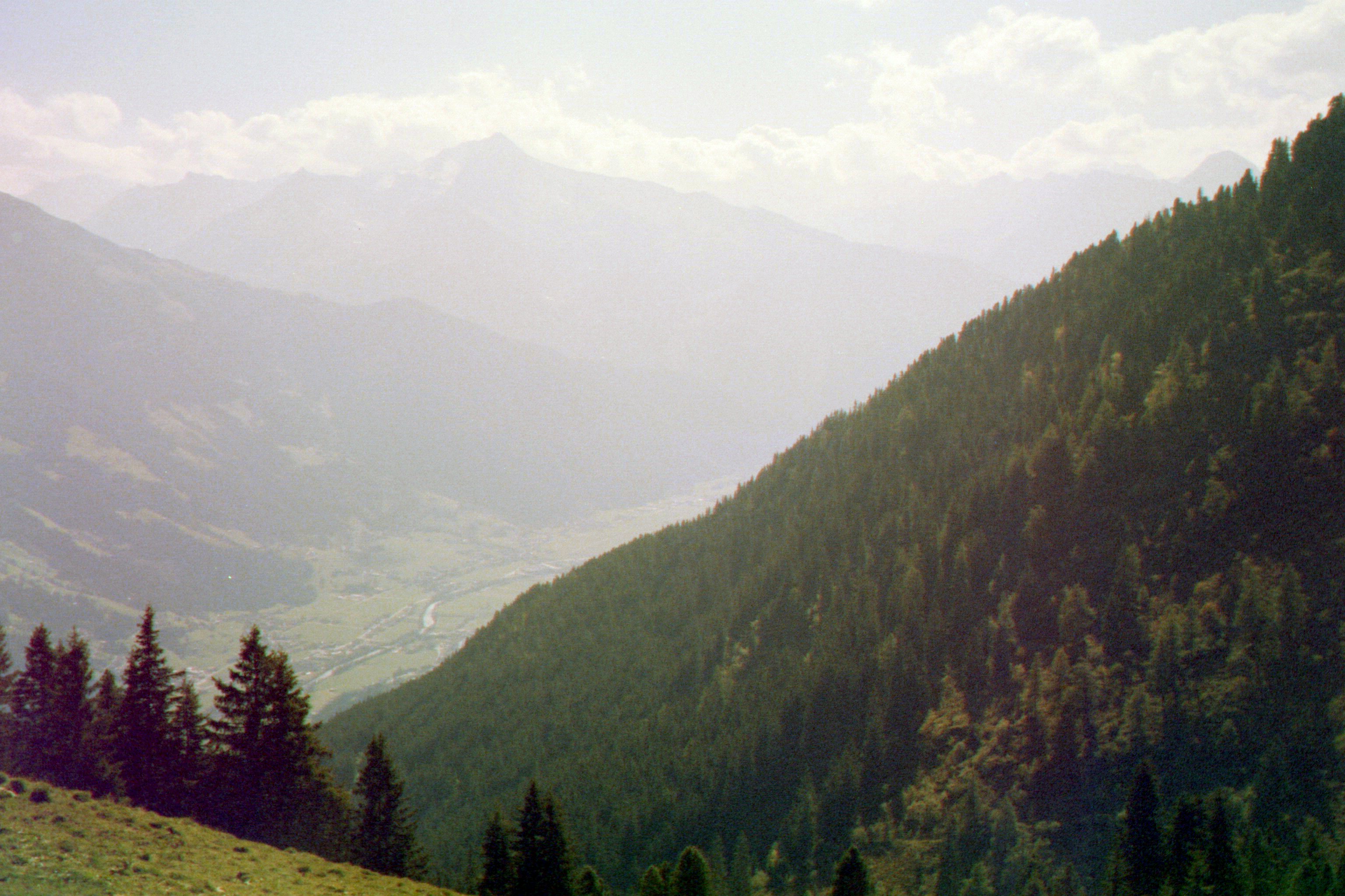 031_06a.jpg