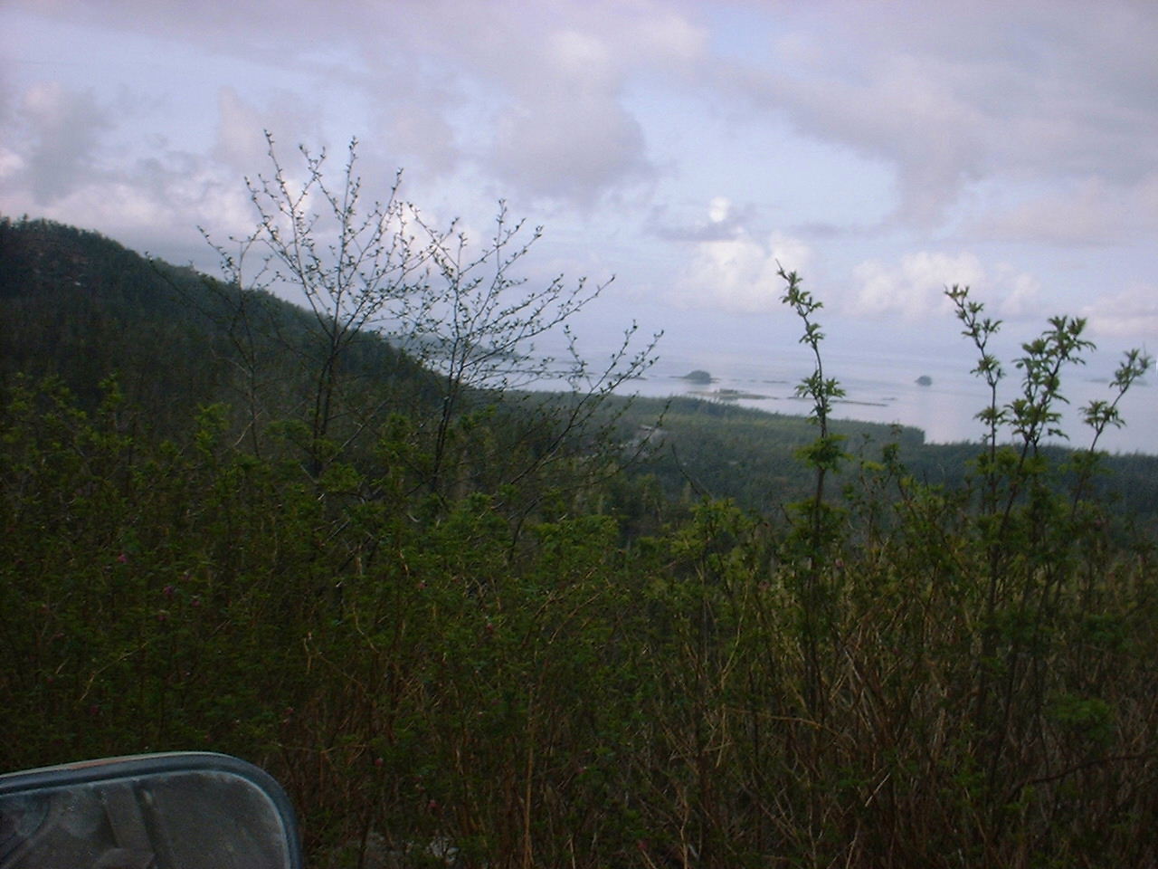0512 01 Log rd view.JPG