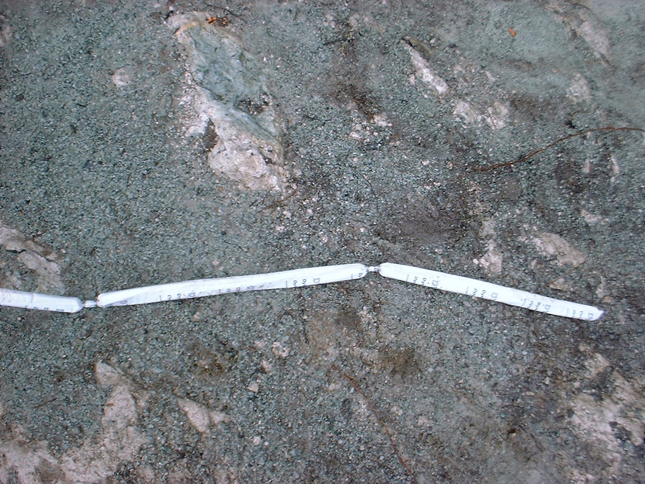 061401 Preshear Cartridge.JPG