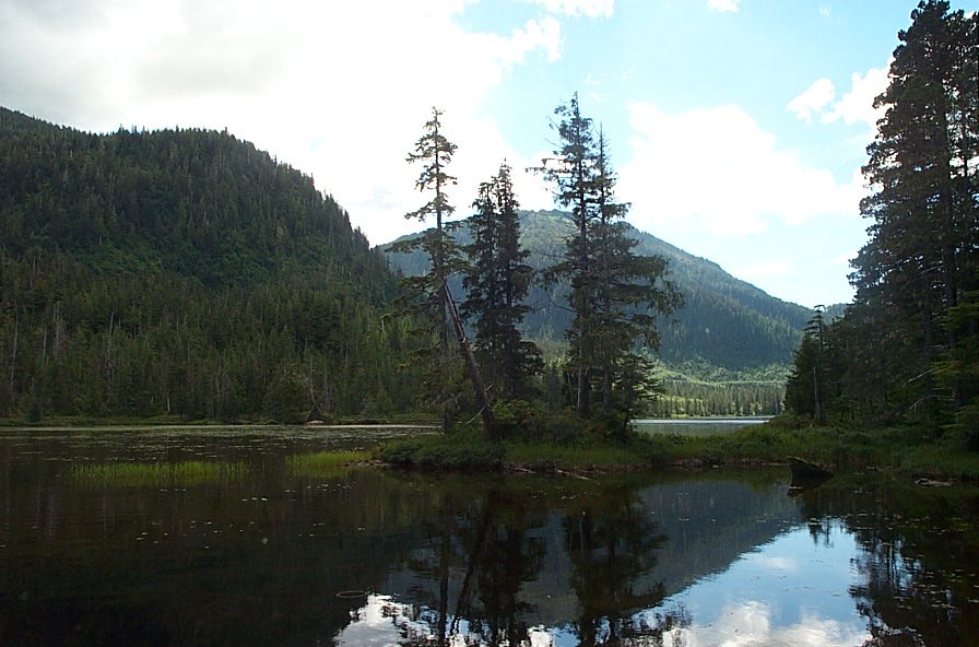 080701 Cabin view at Todd Lake.JPG