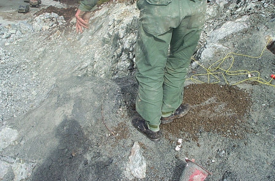 090601 Stemming.jpg
