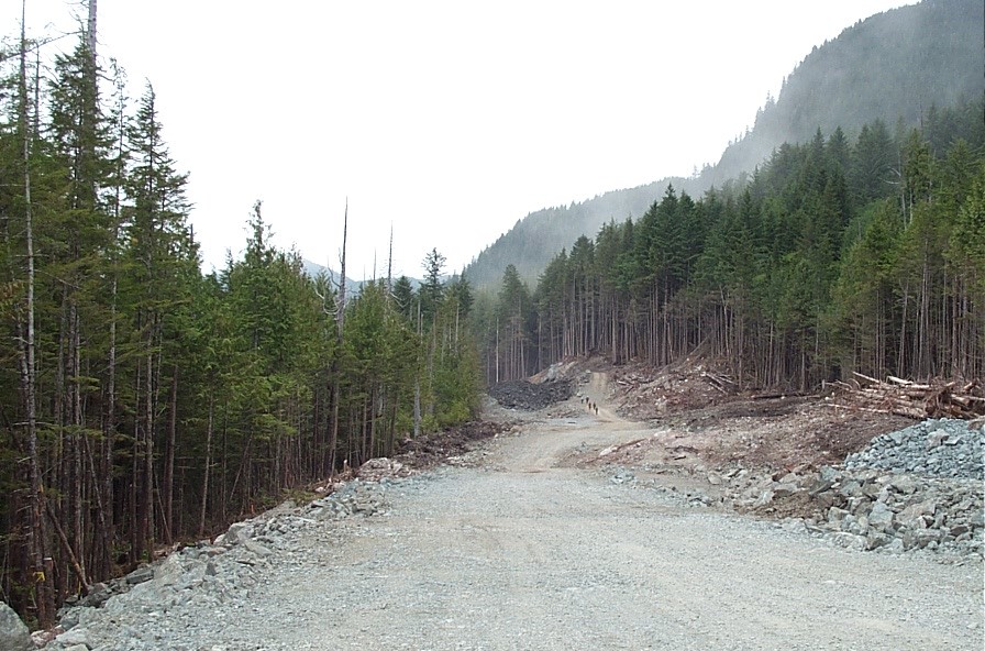 19 June - 12+1 - 17.JPG