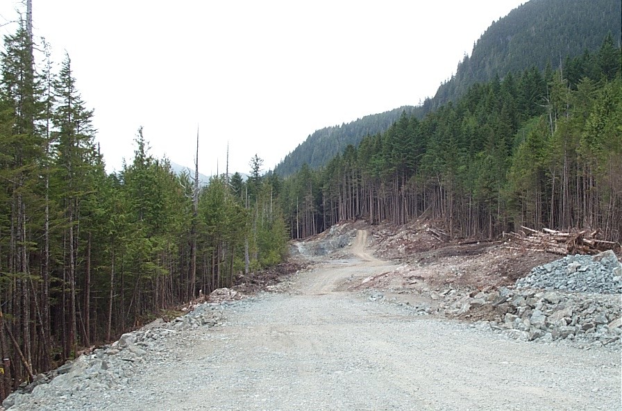 19 June - 12+1 - 3.JPG