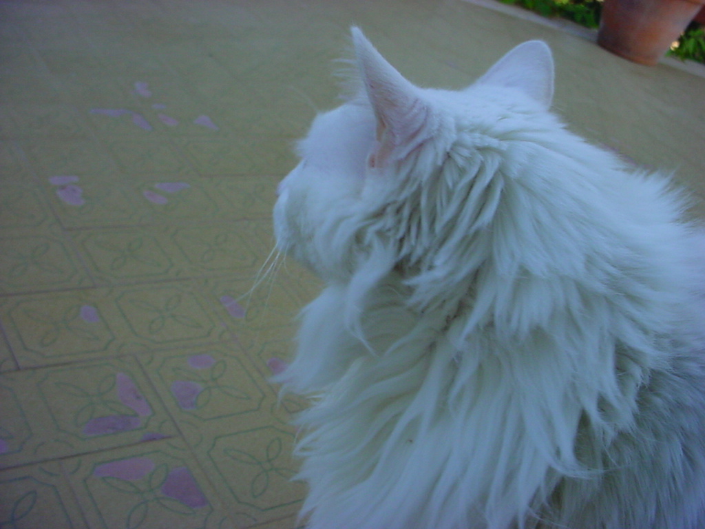 DSC00068.JPG