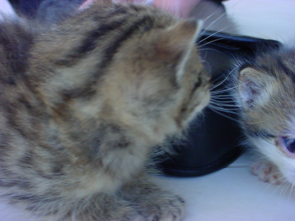 DSC00070.JPG