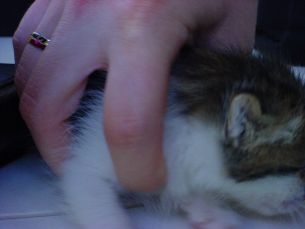 DSC00073.JPG