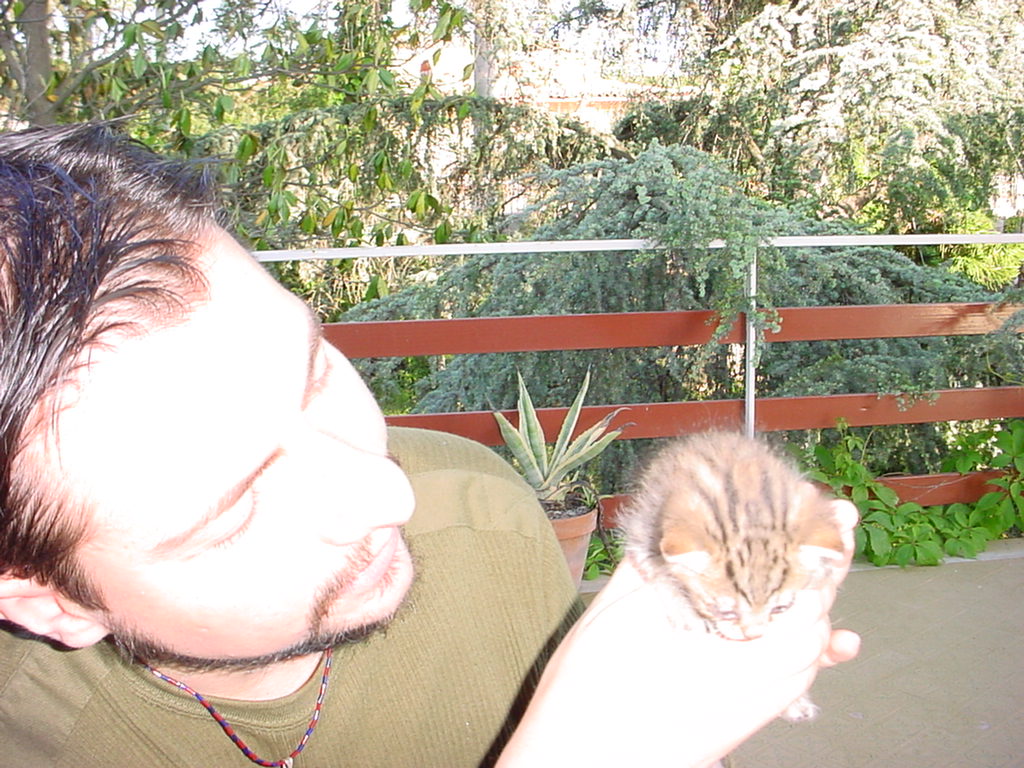 DSC00084.JPG