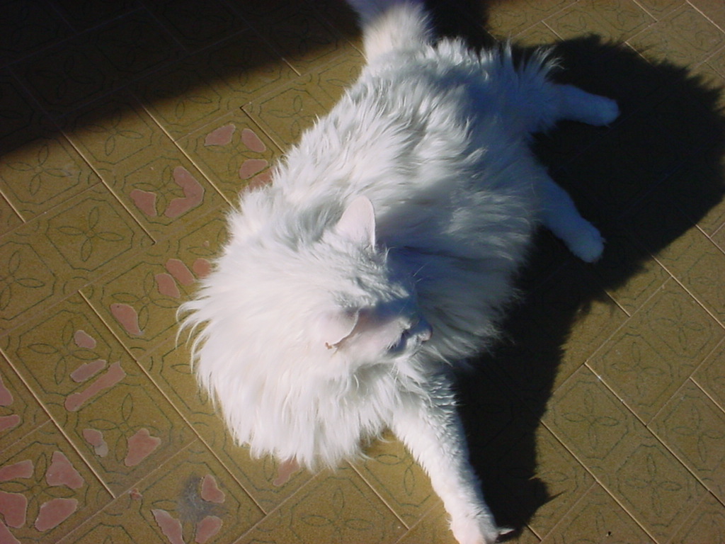 DSC00088.JPG