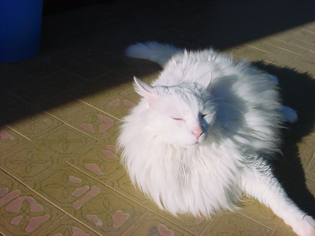 DSC00090.JPG