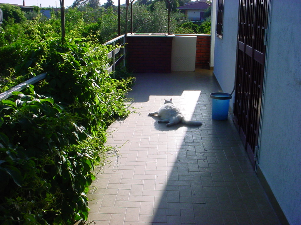 DSC00091.JPG