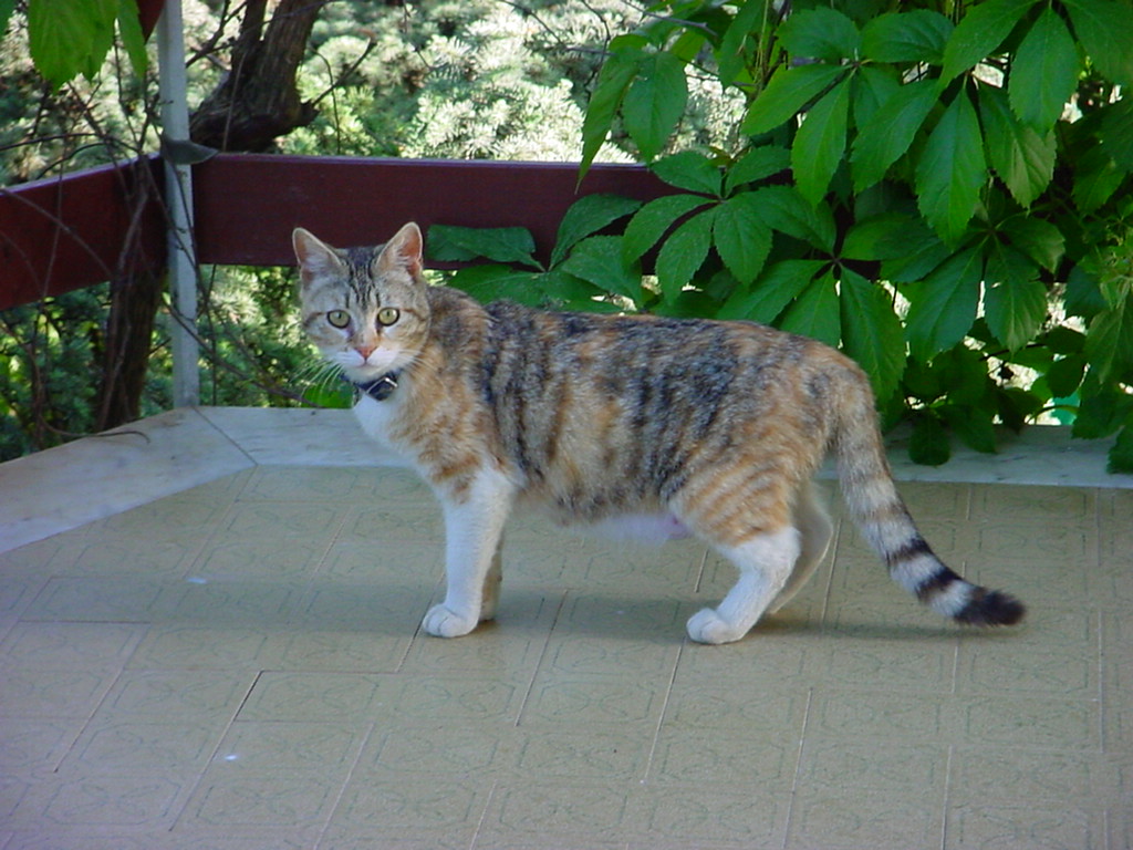 DSC00096.JPG