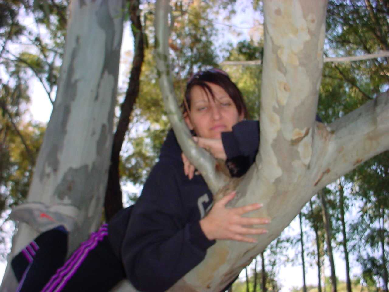 DSC00411.JPG