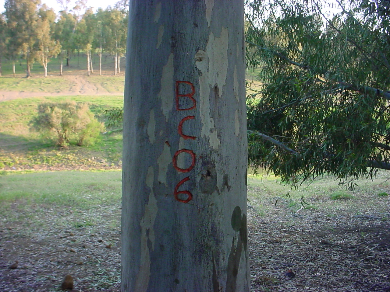 DSC00422.JPG