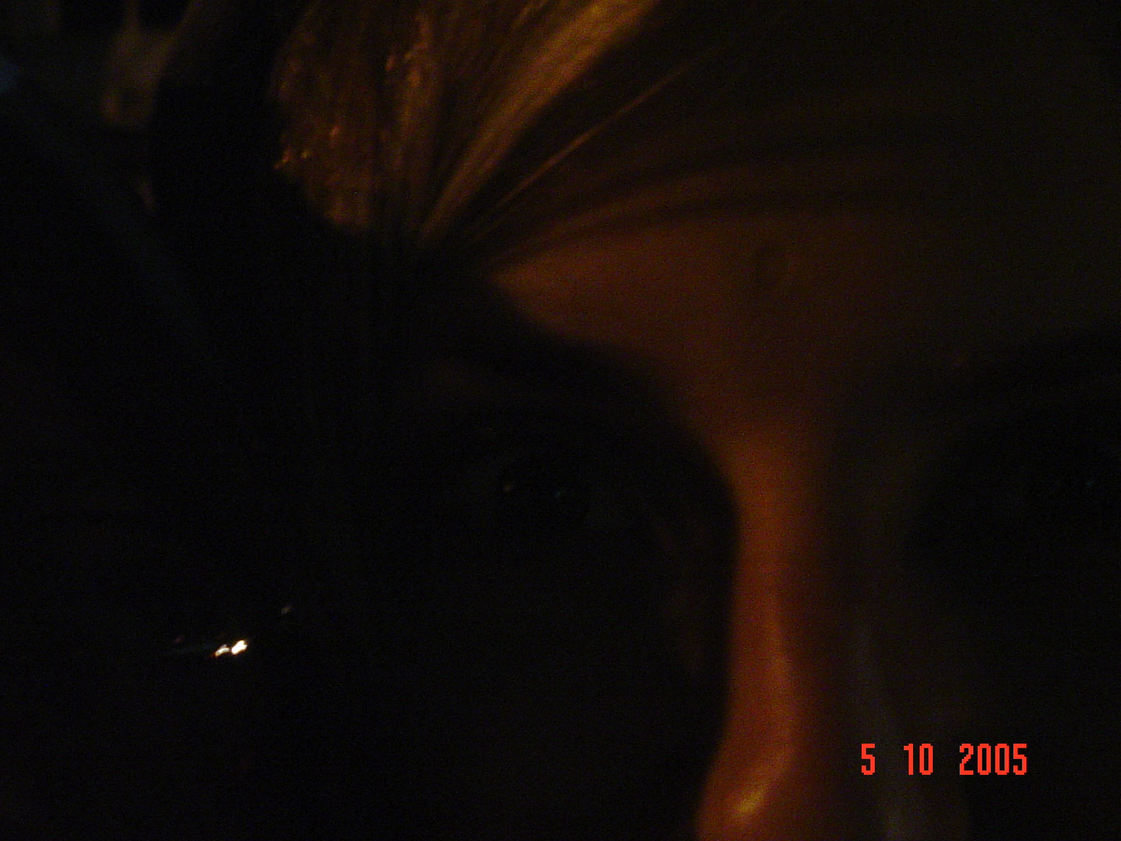 DSC00485.JPG