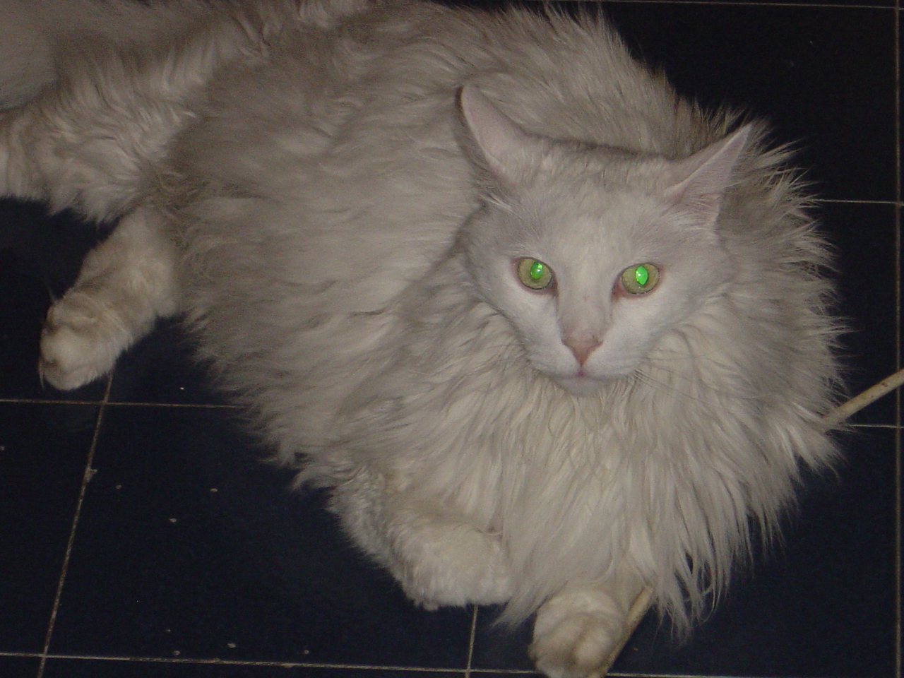 DSC00712.JPG