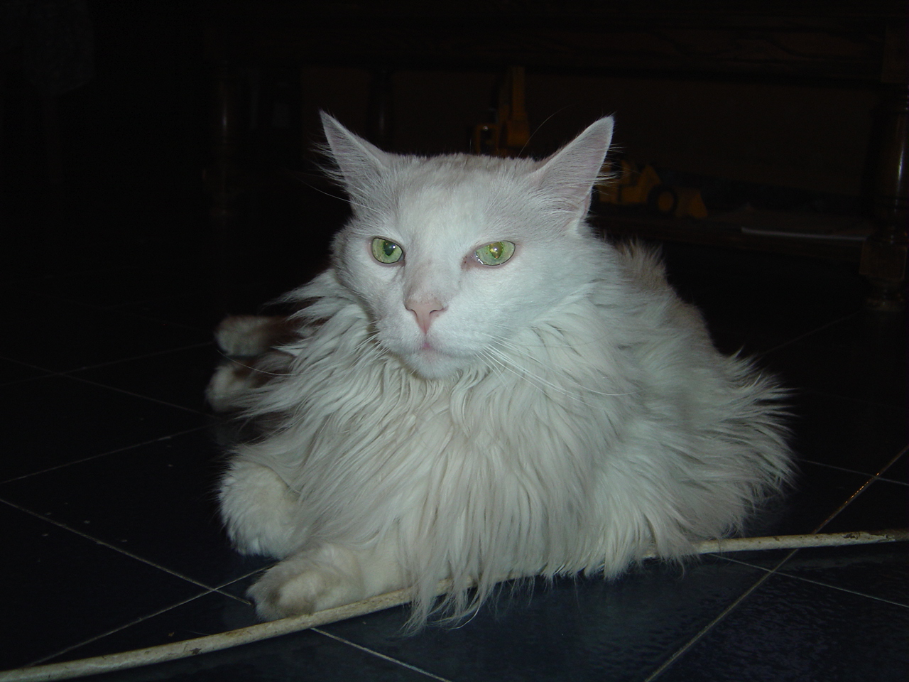 DSC00714.JPG