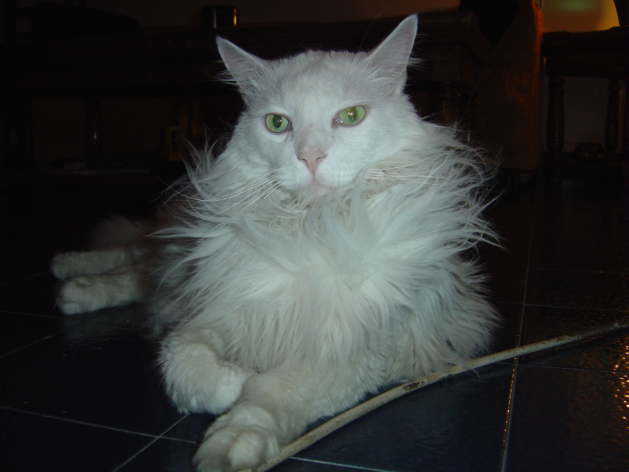 DSC00715.JPG