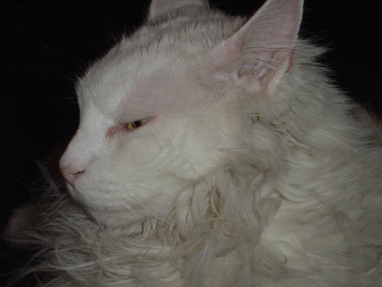 DSC00716.JPG