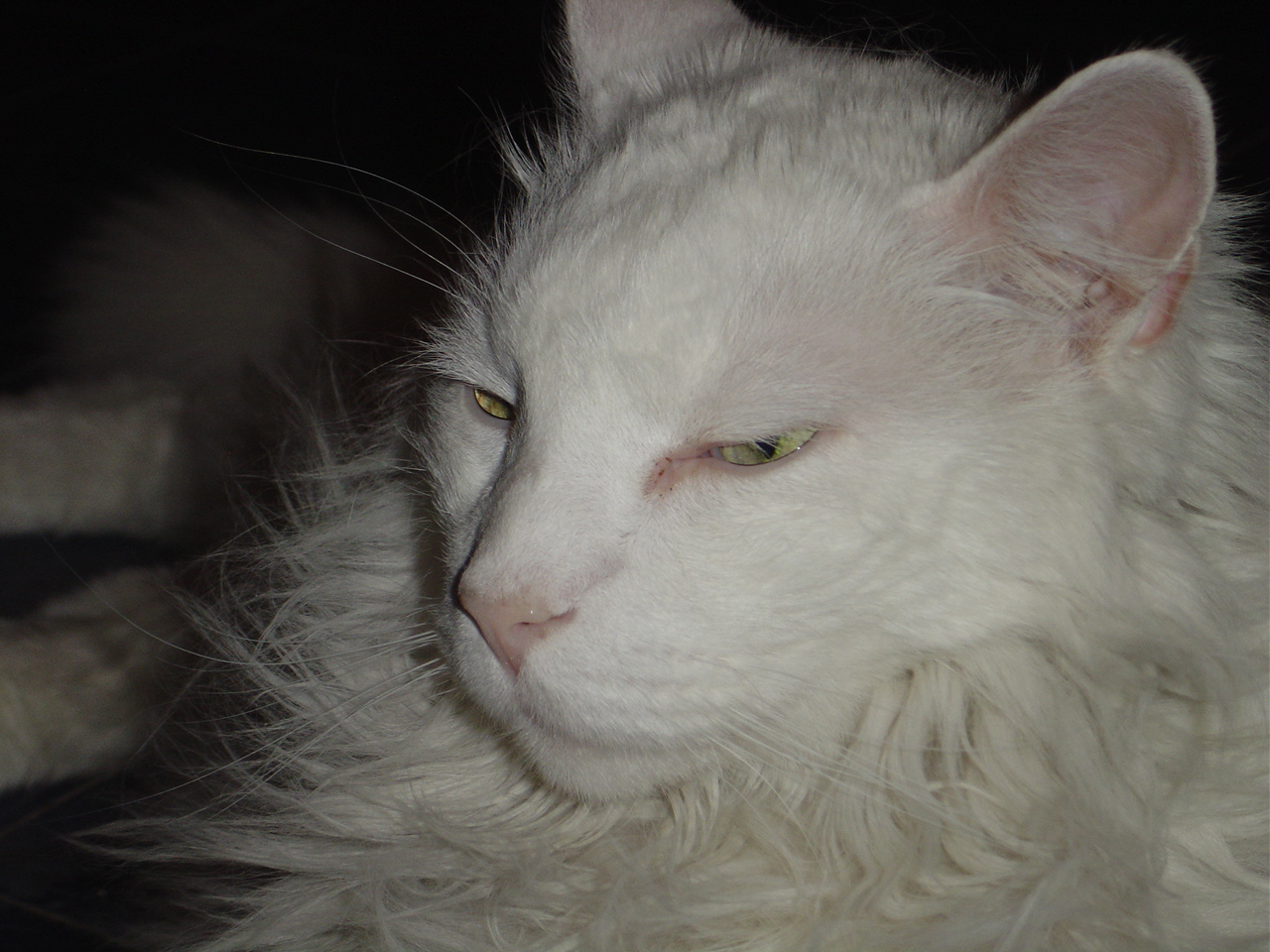 DSC00717.JPG