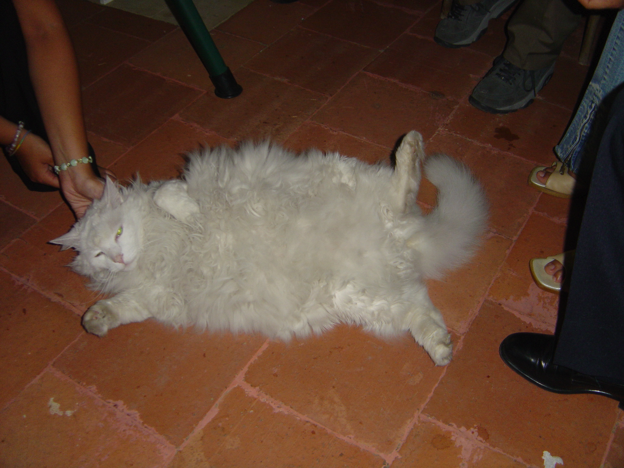 DSC01019.JPG