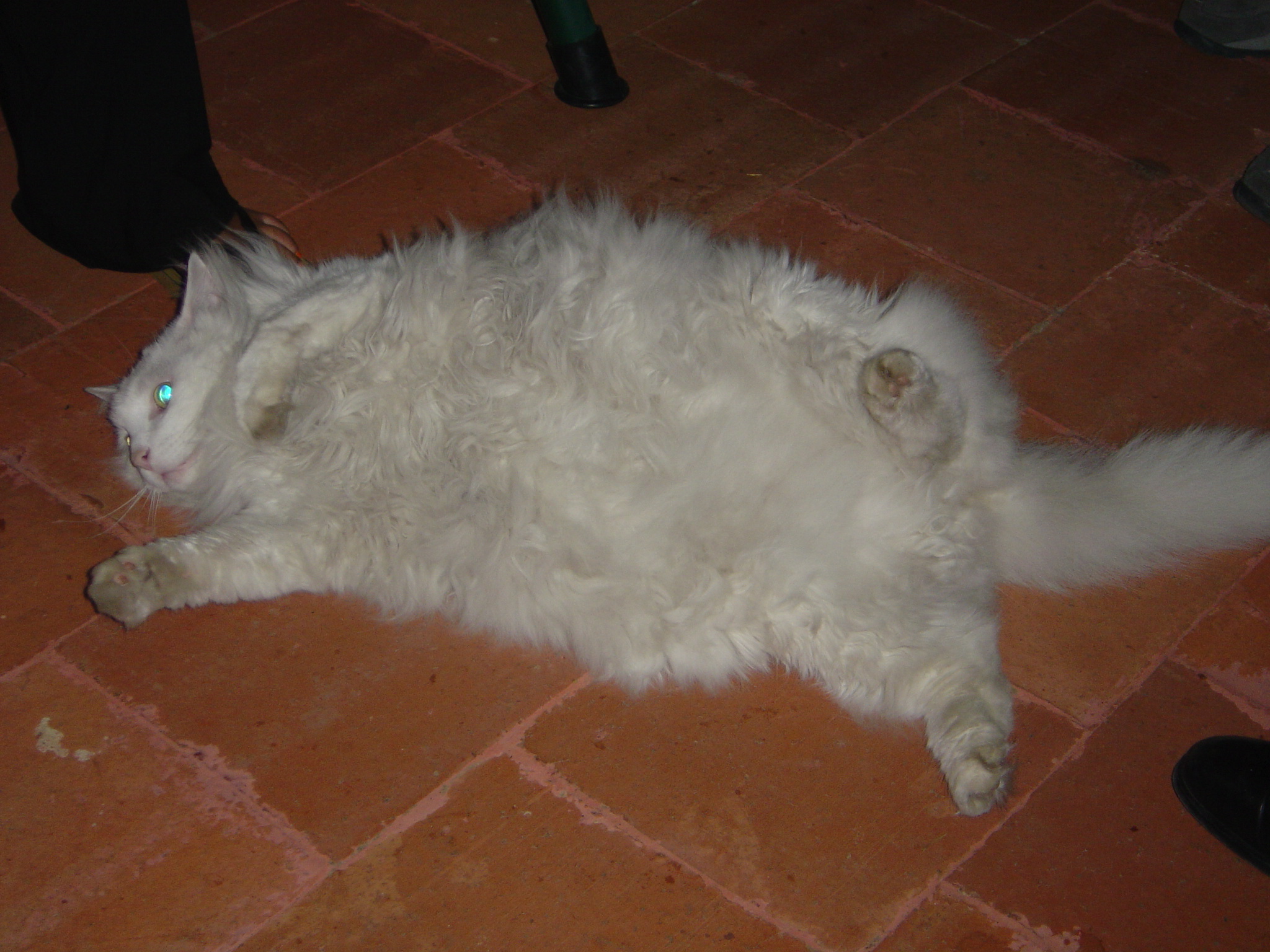 DSC01020.JPG