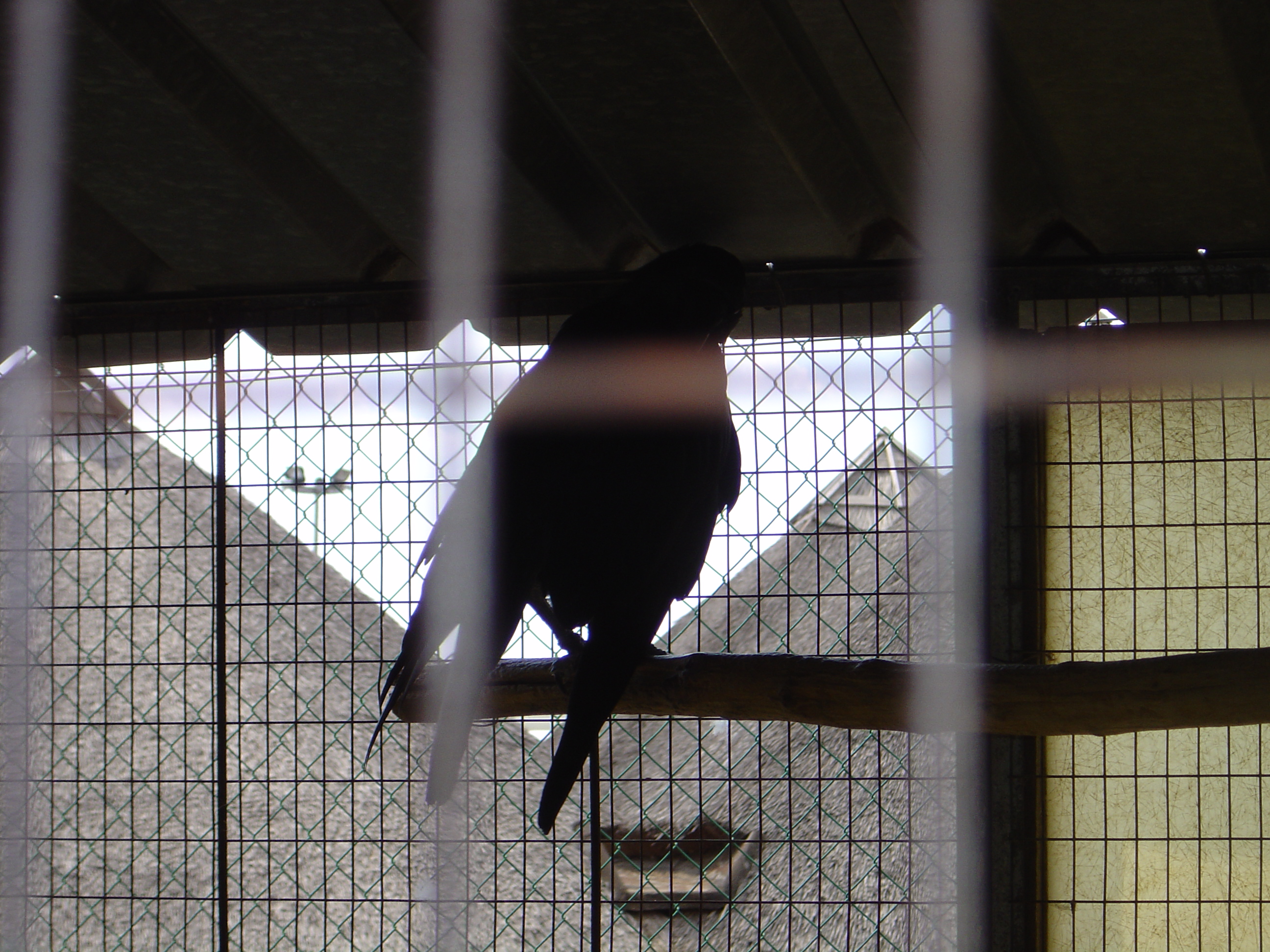 DSC01064.JPG