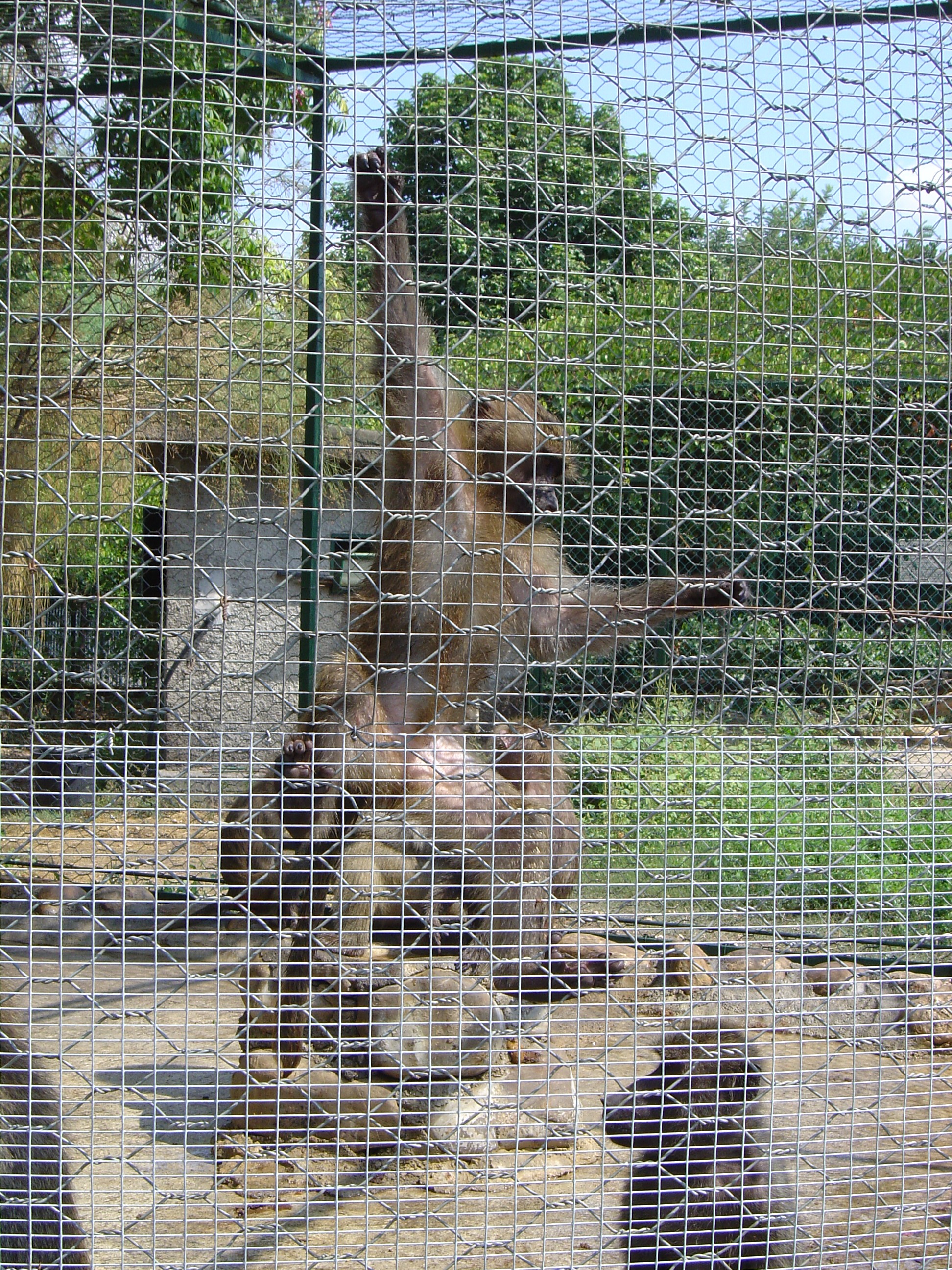 DSC01074.JPG