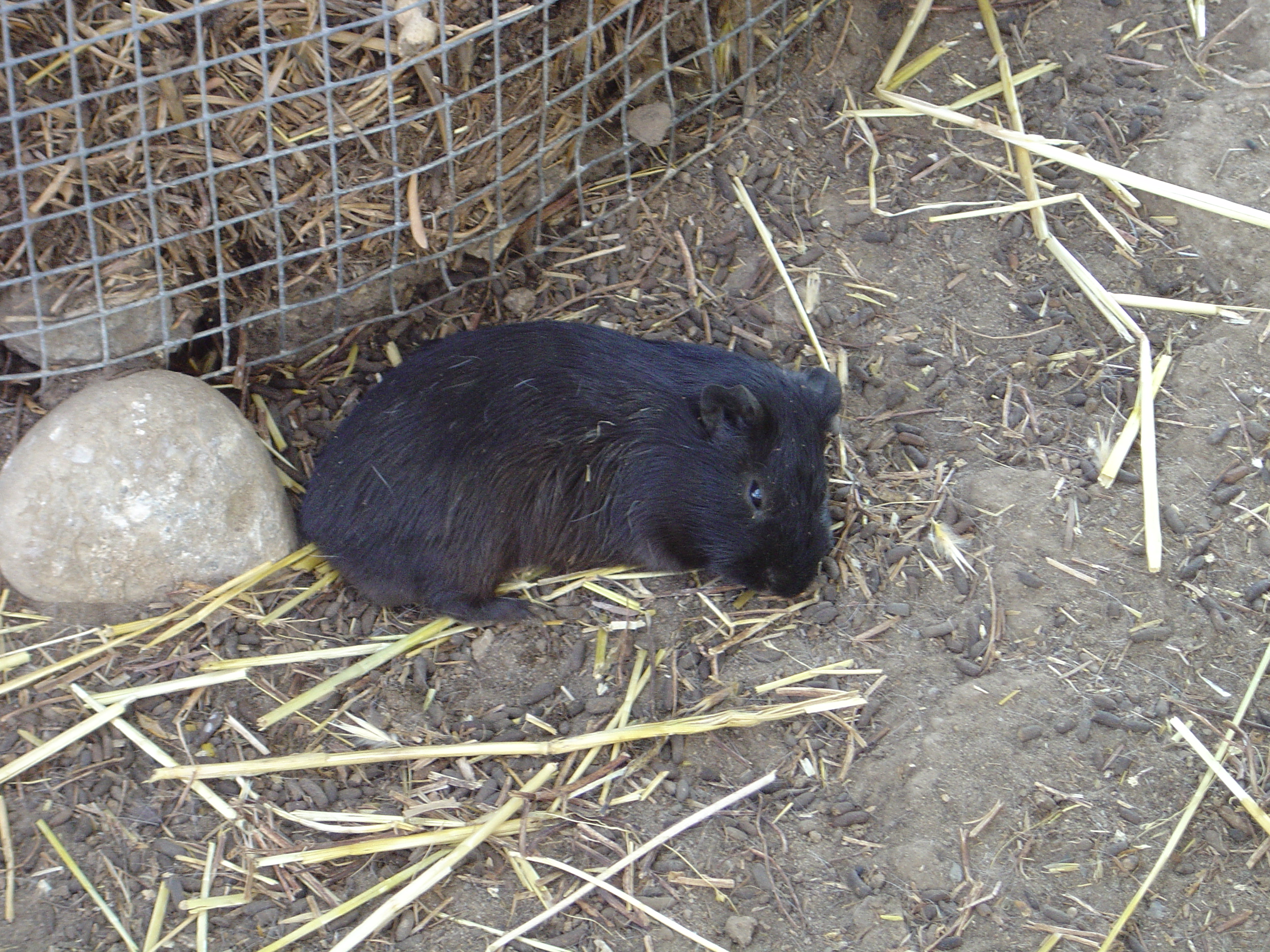DSC01075.JPG