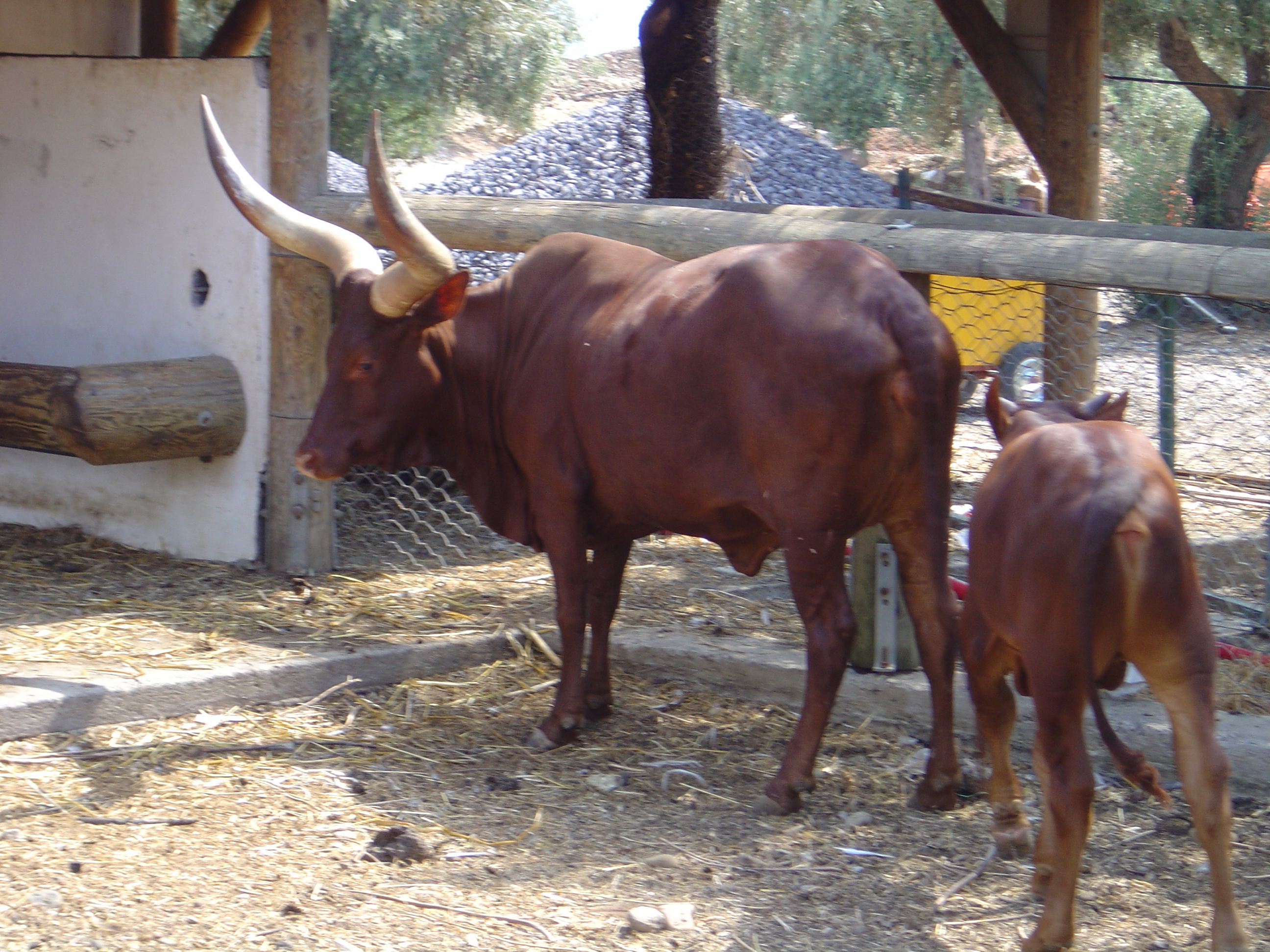 DSC01092.JPG