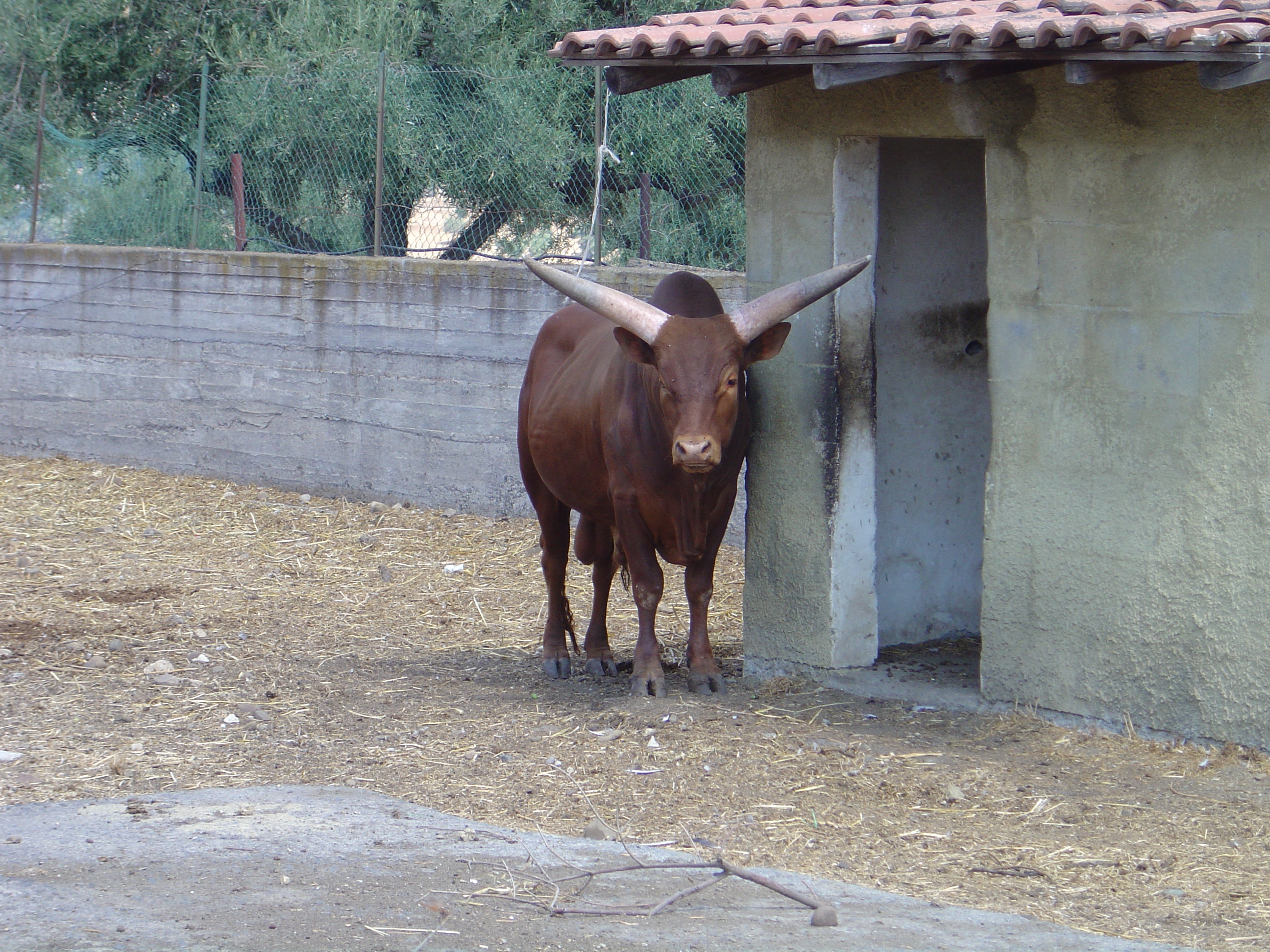 DSC01094.JPG