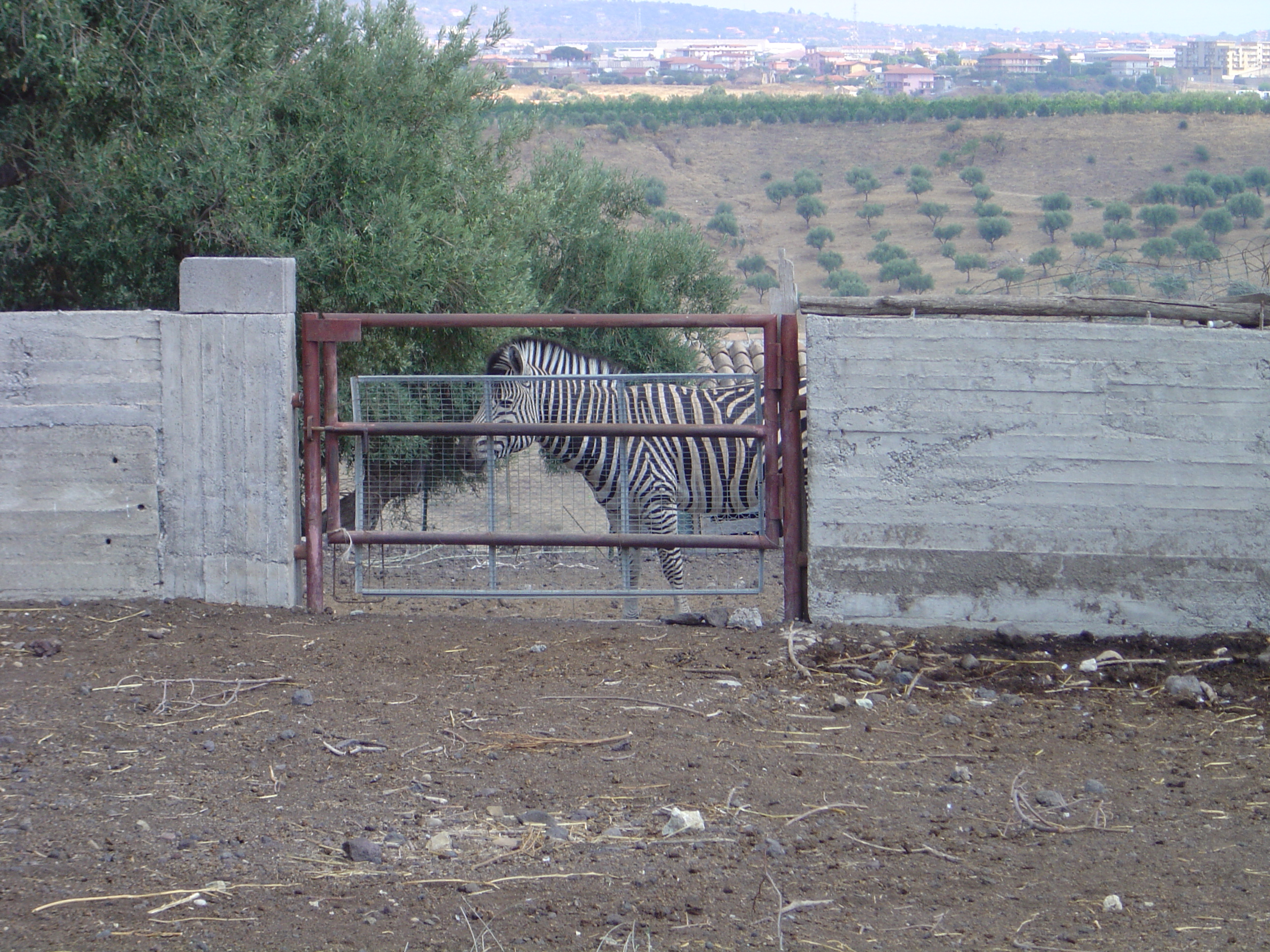 DSC01095.JPG