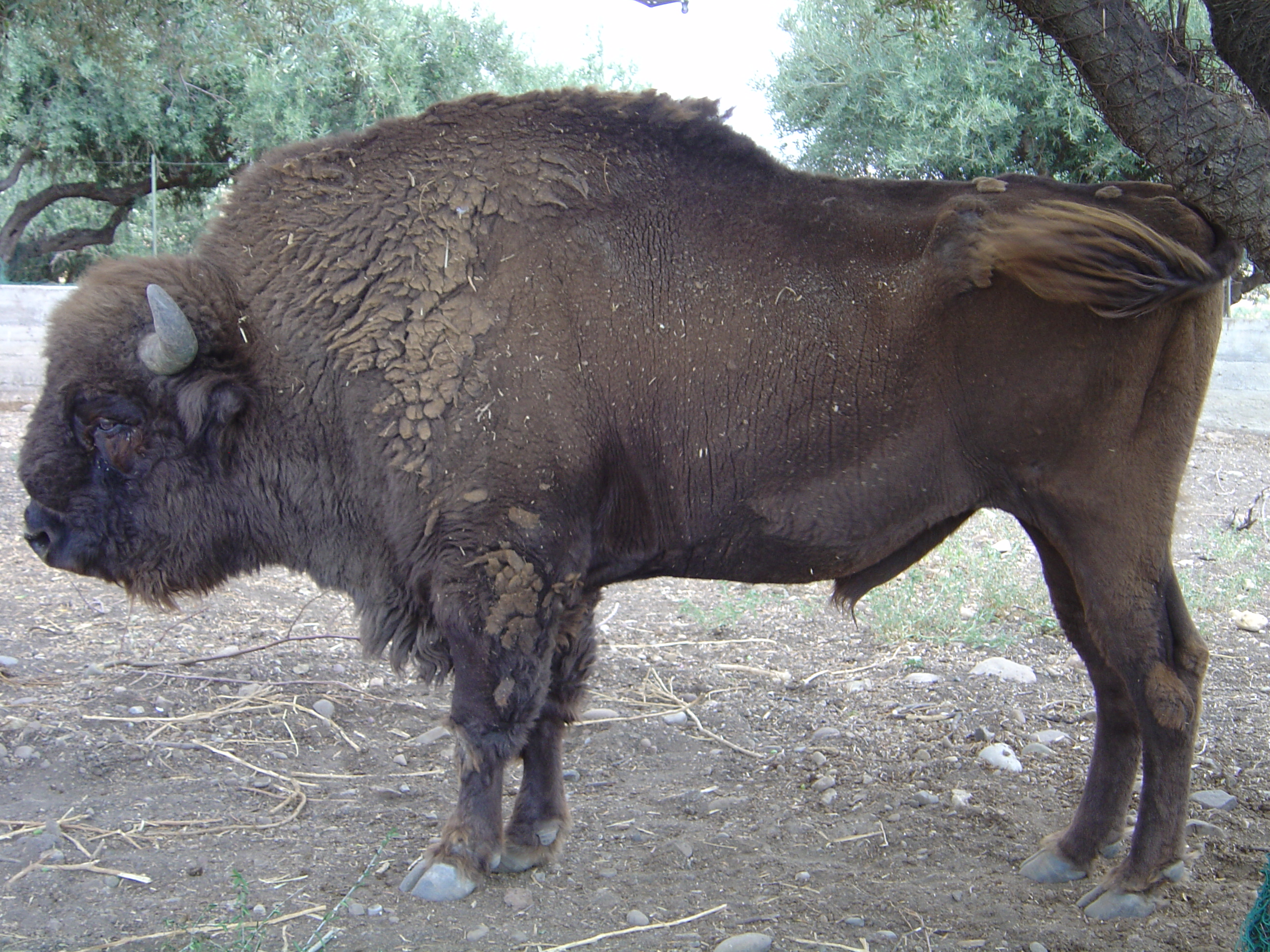 DSC01097.JPG