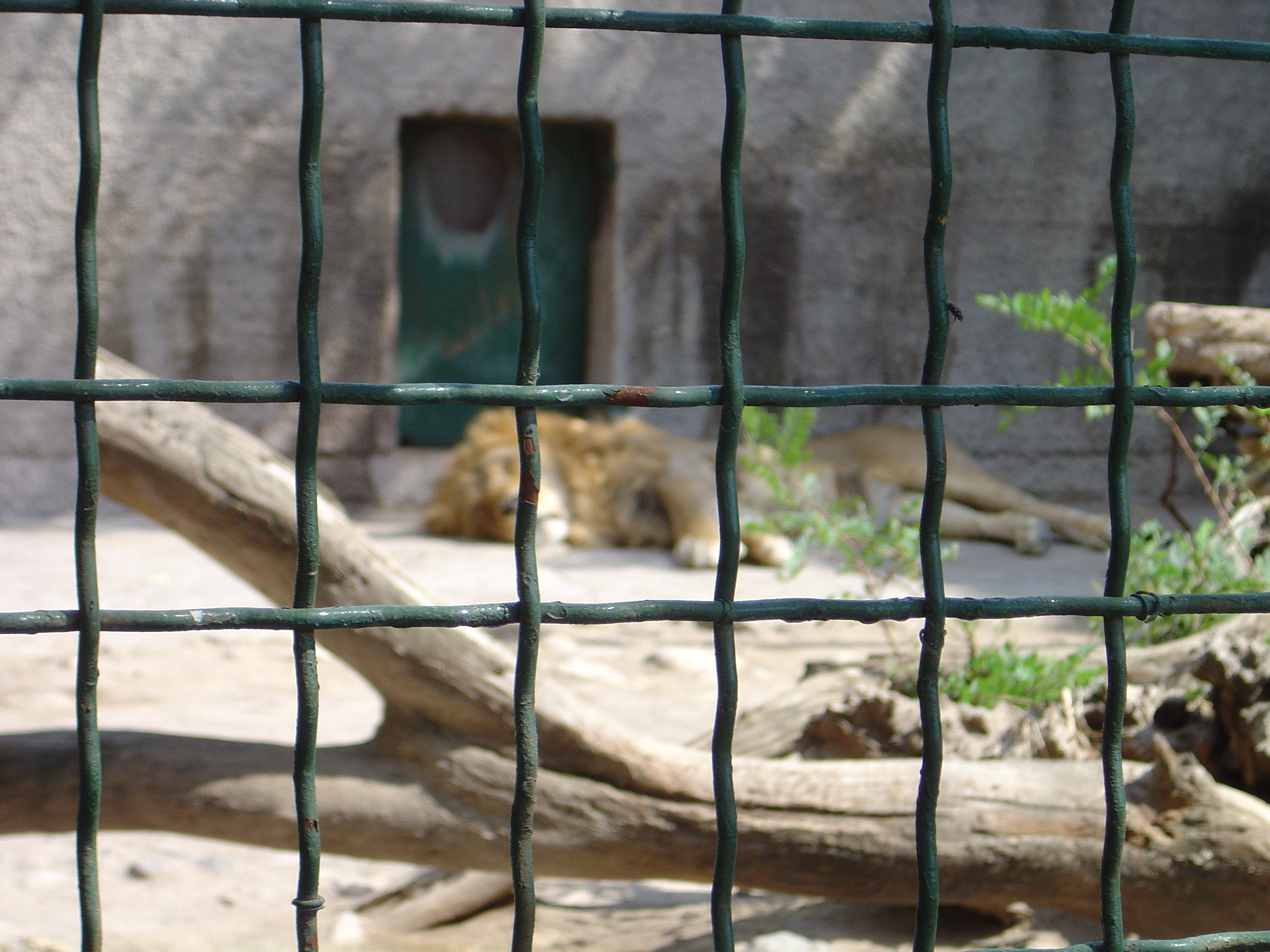 DSC01103.JPG