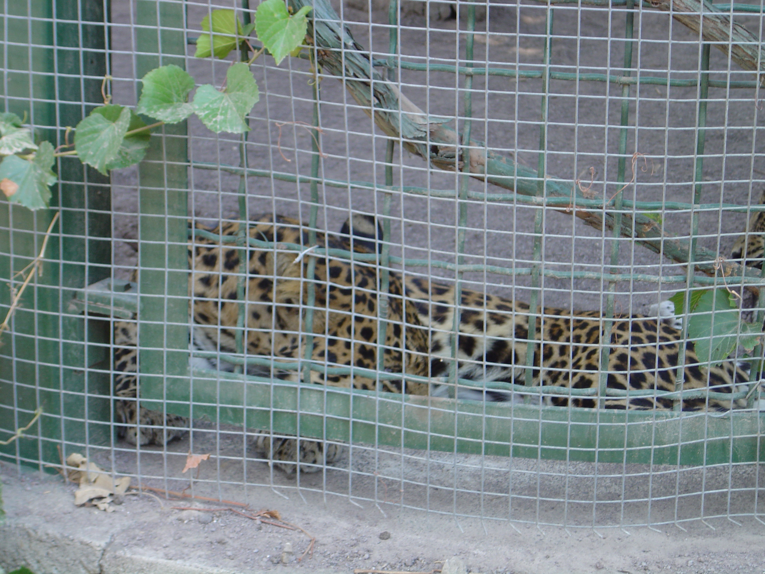 DSC01104.JPG