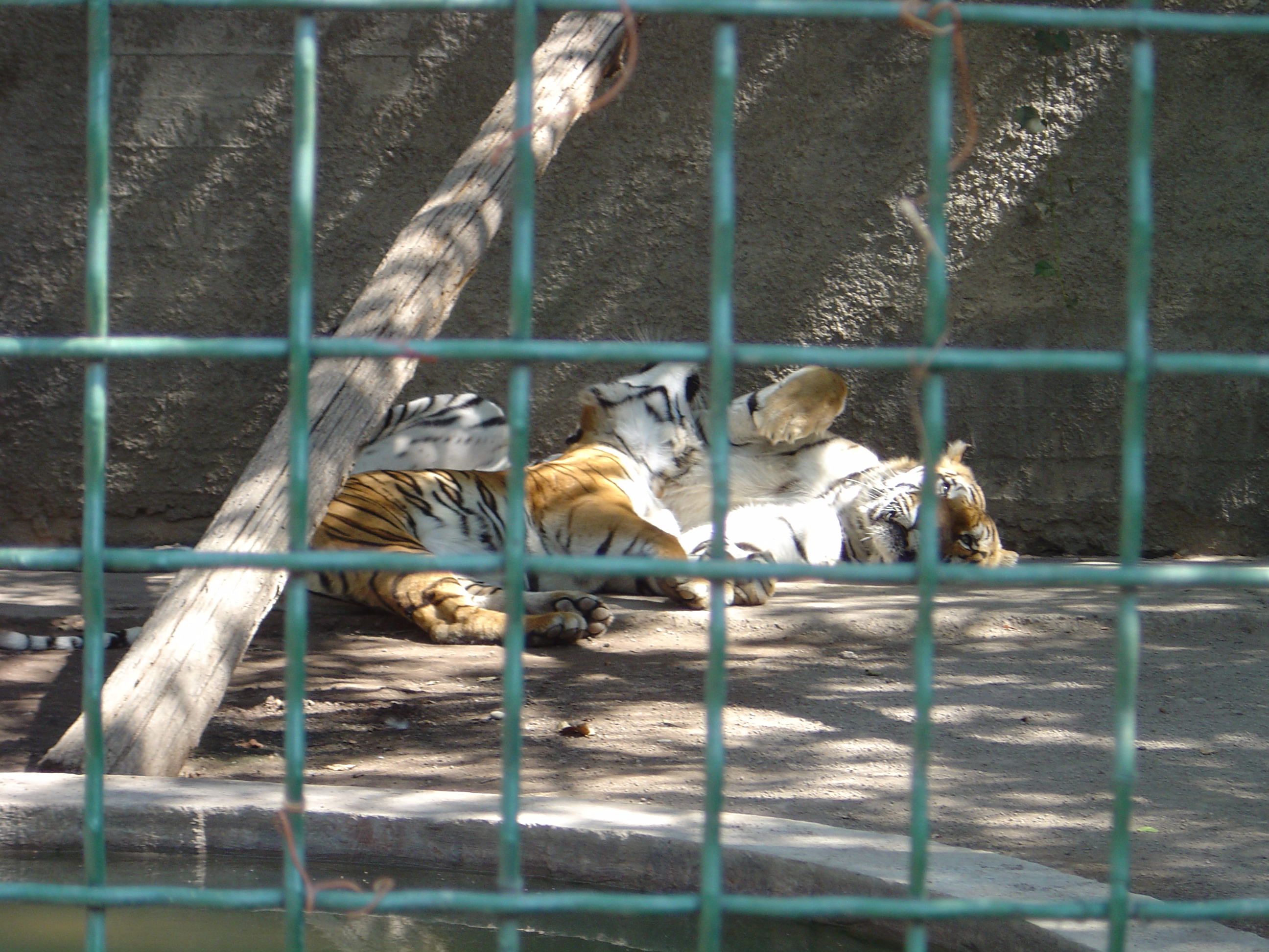 DSC01108.JPG