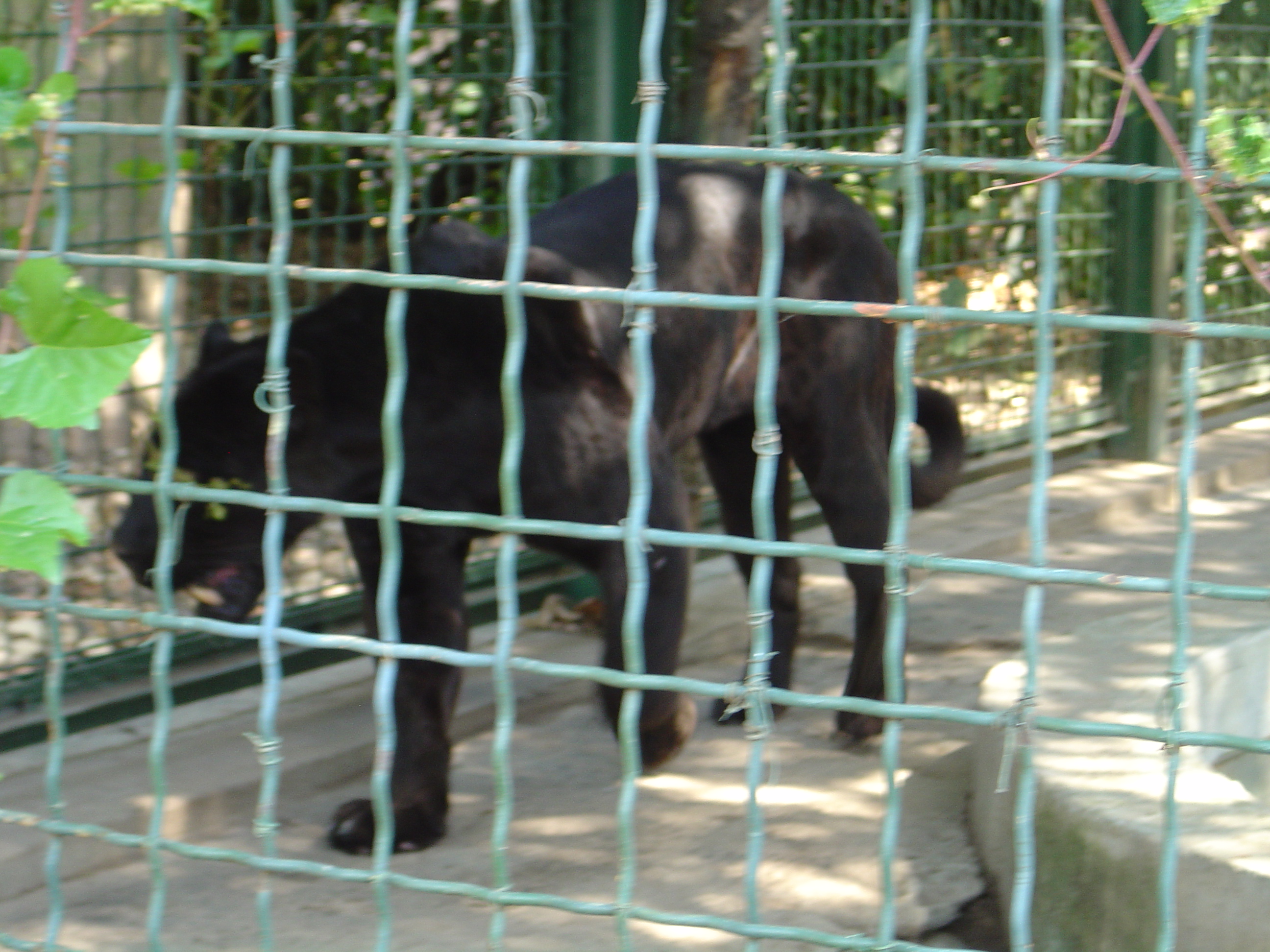 DSC01113.JPG