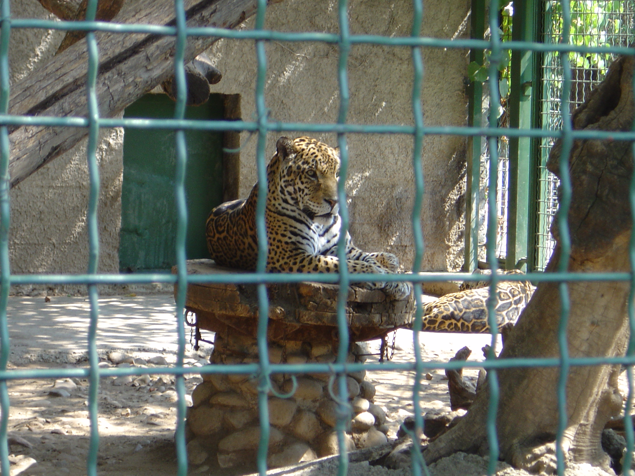 DSC01115.JPG