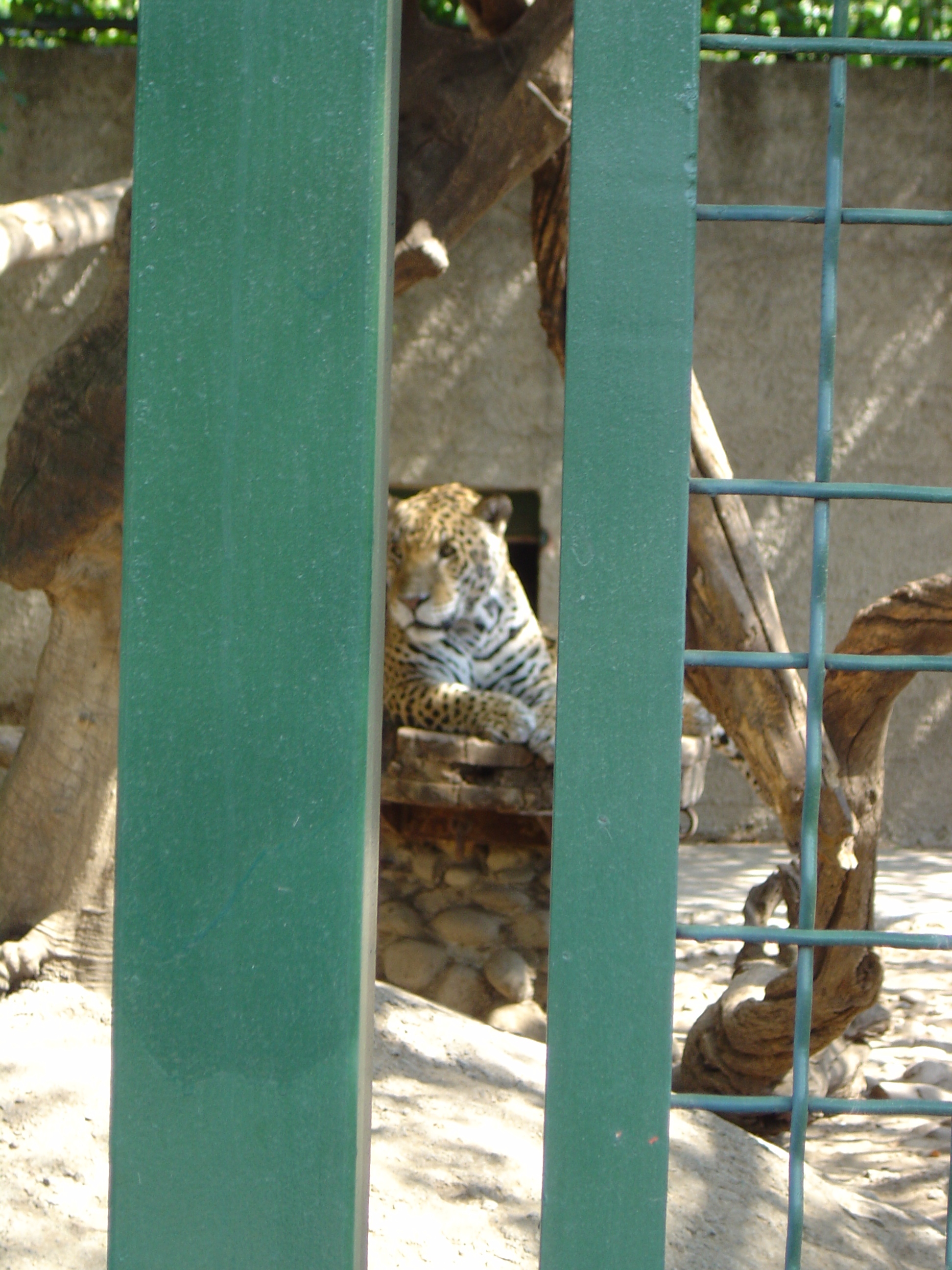 DSC01116.JPG