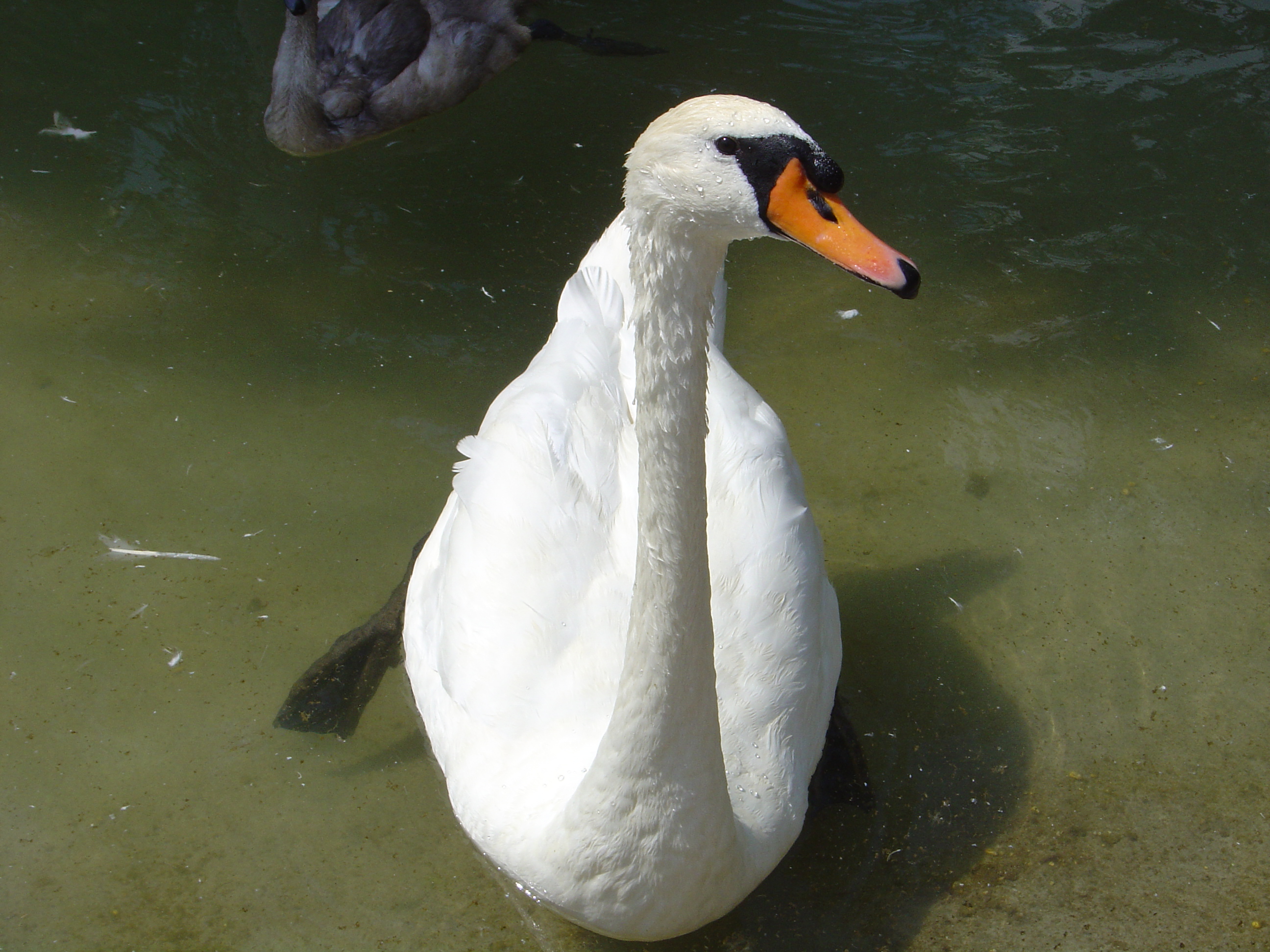 DSC01120.JPG