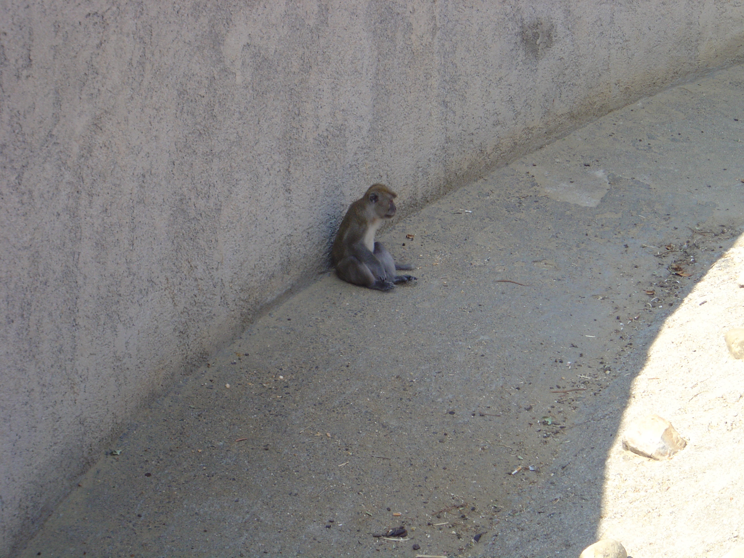 DSC01123.JPG