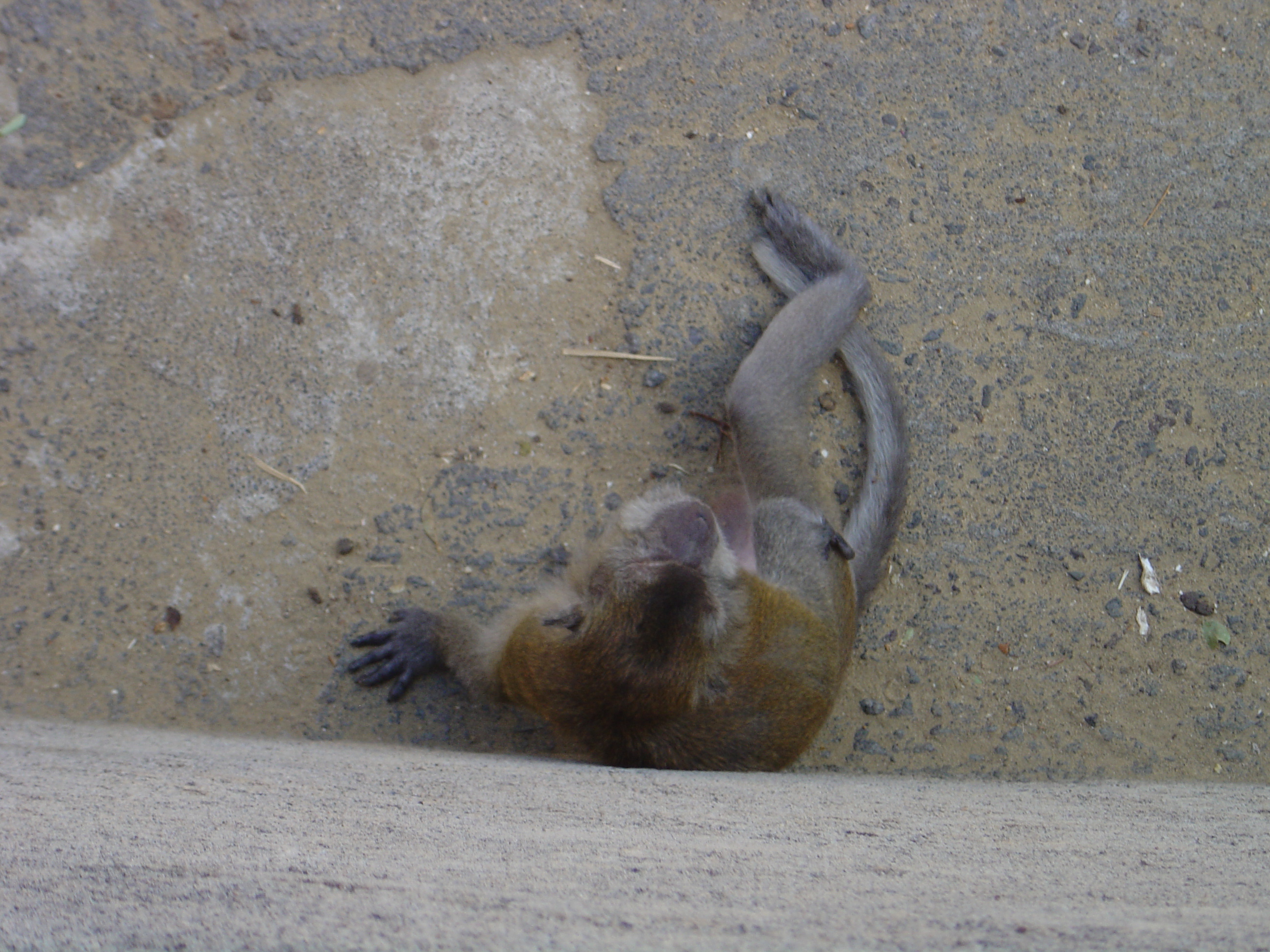 DSC01124.JPG