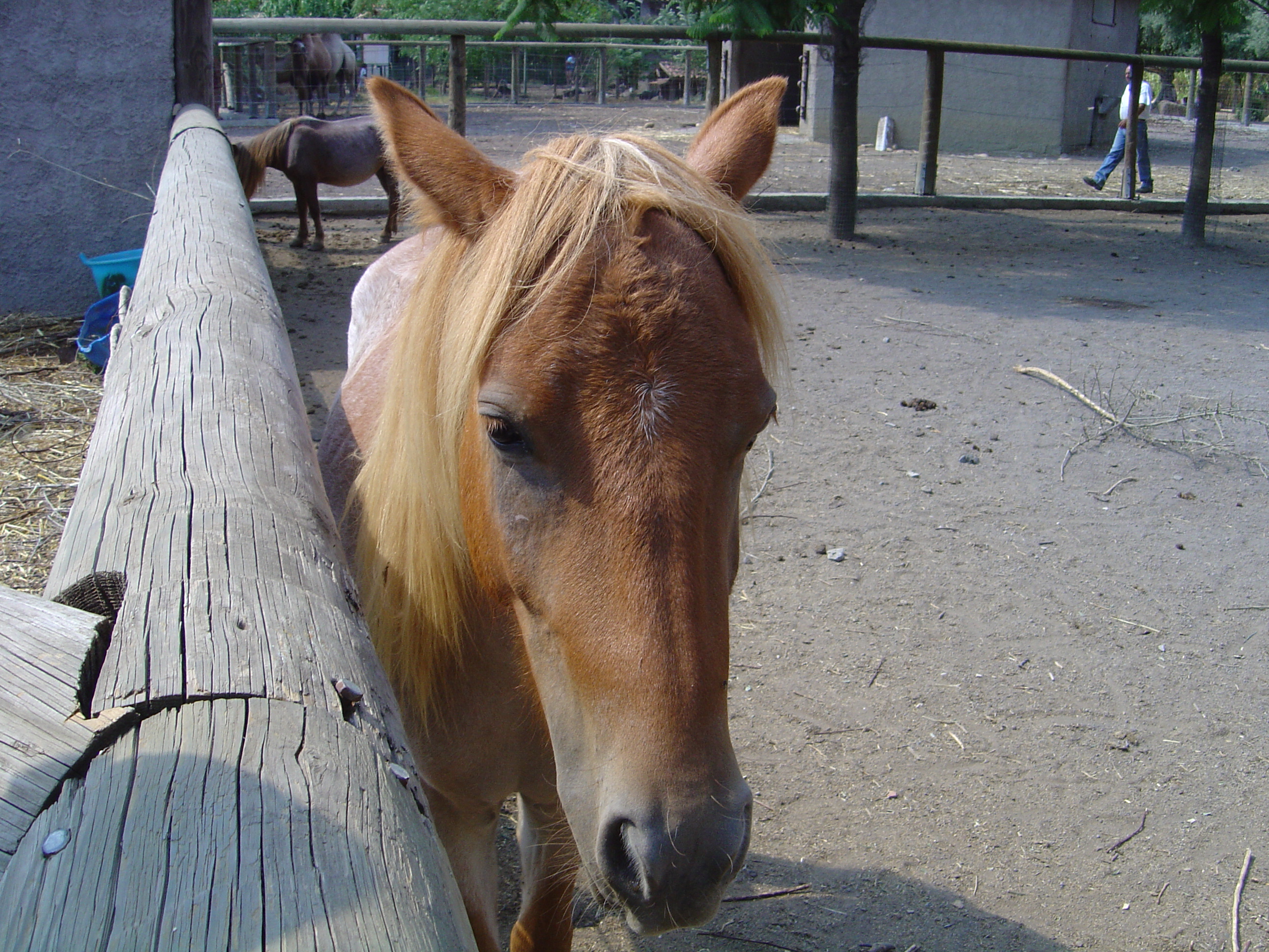 DSC01130.JPG