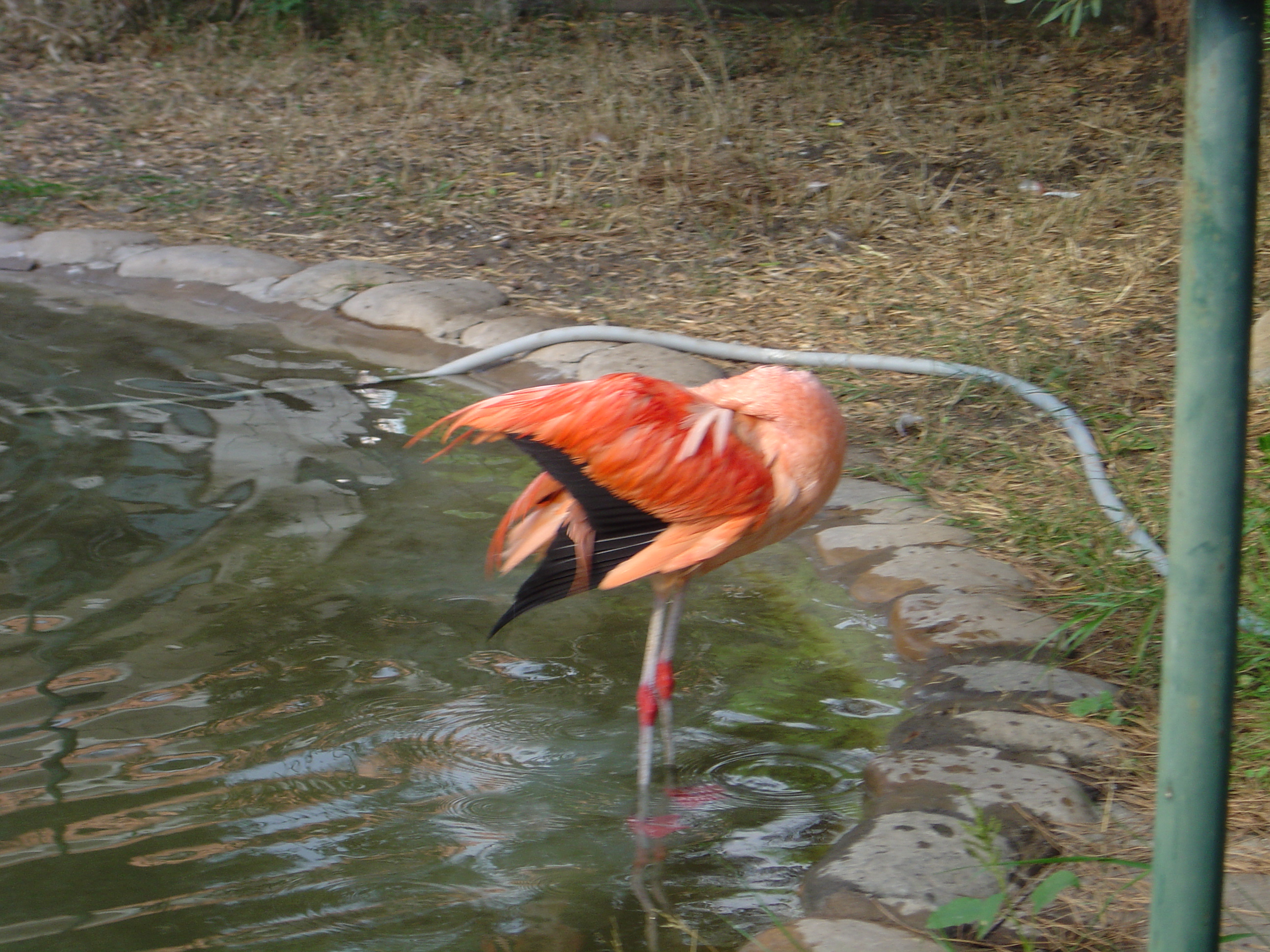 DSC01145.JPG