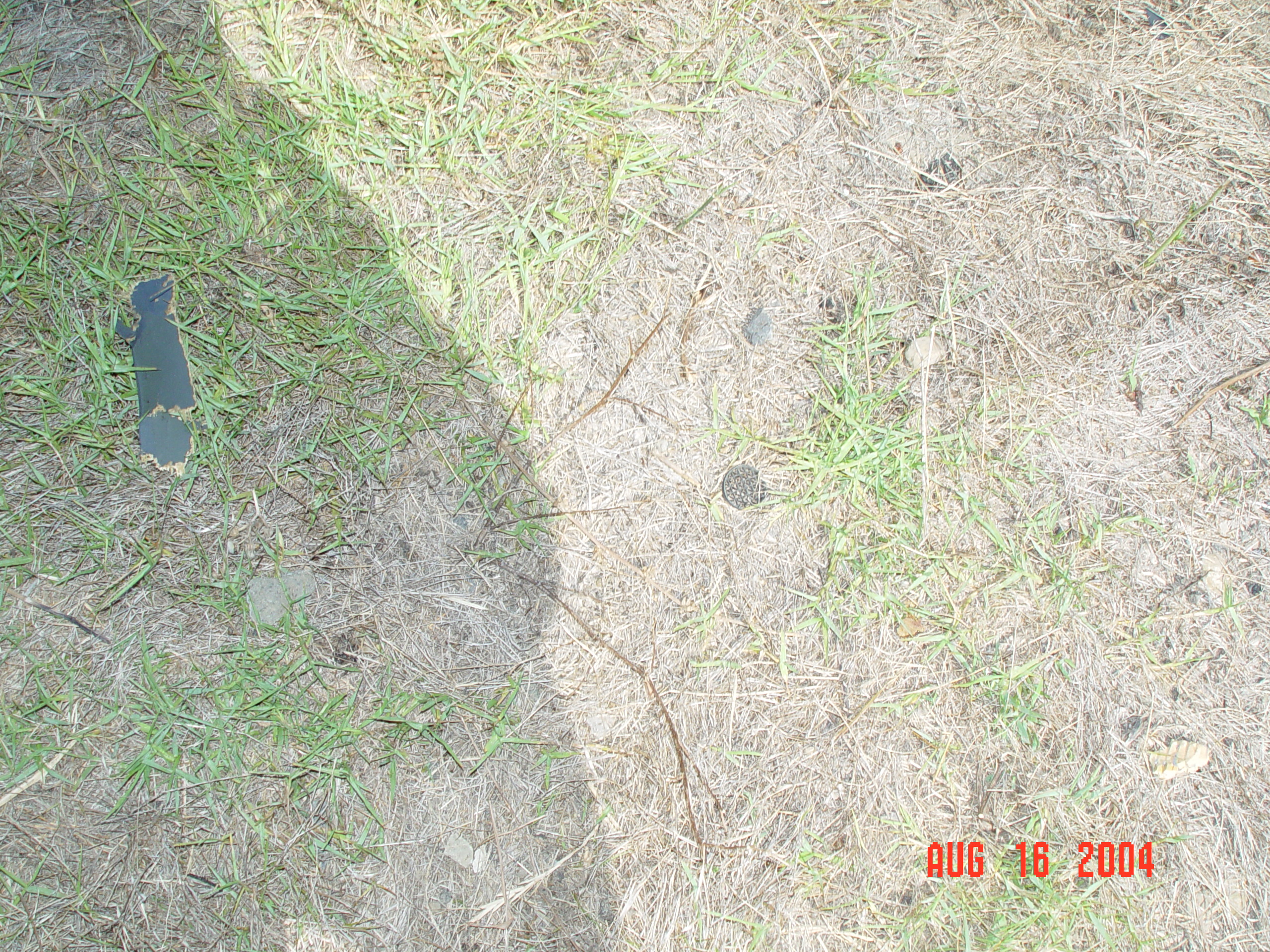 DSC01403.JPG