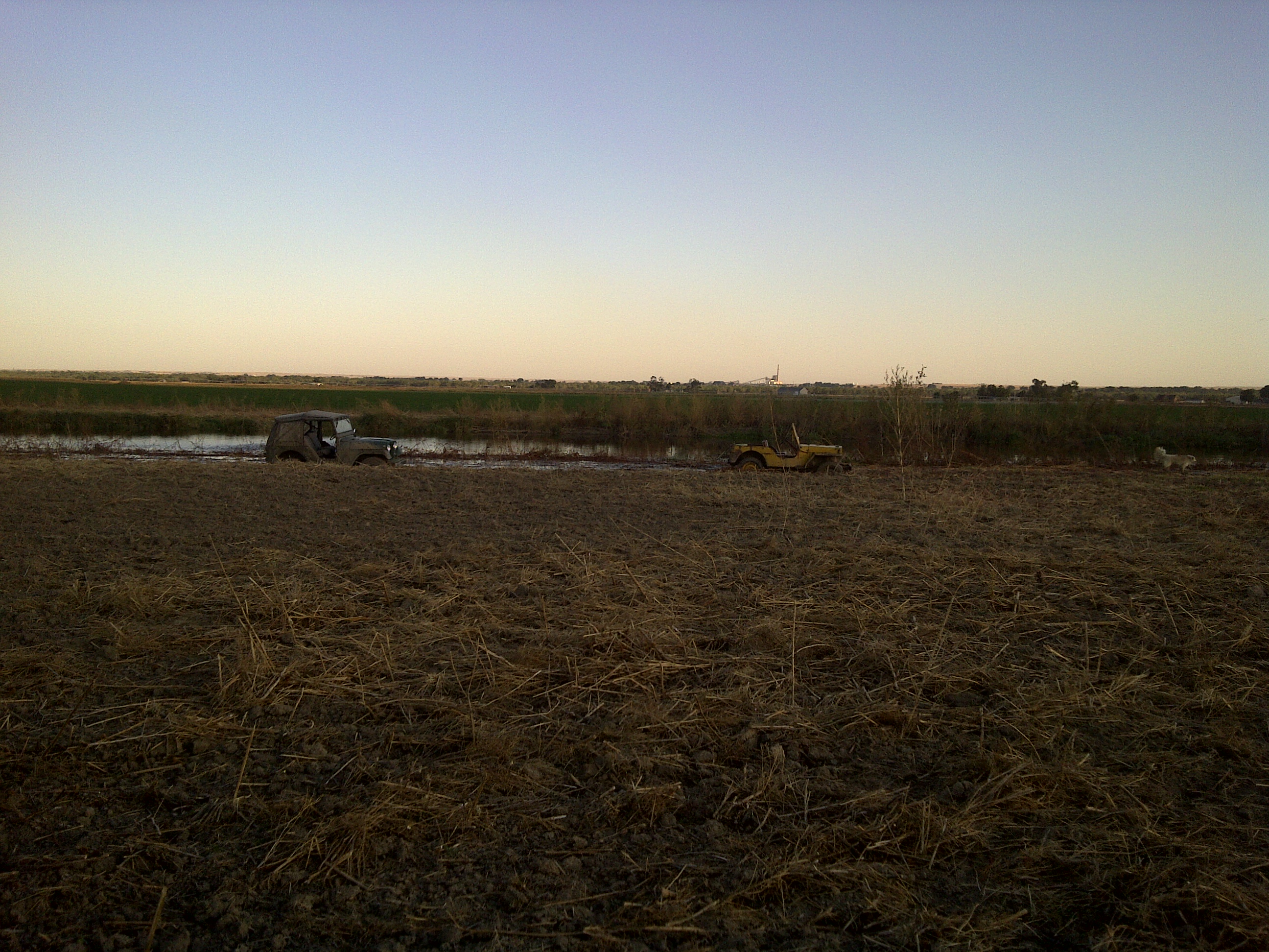 IMG-20101003-00005.jpg