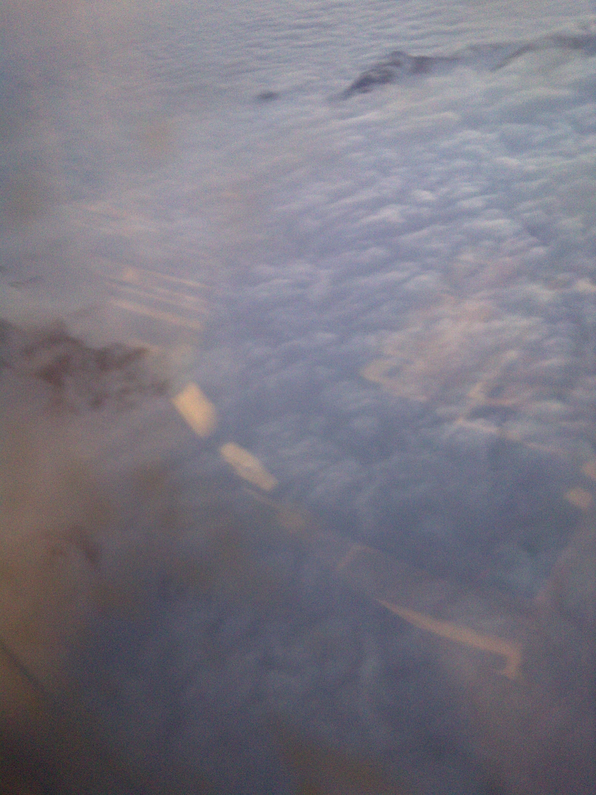 IMG-20110613-00099.jpg