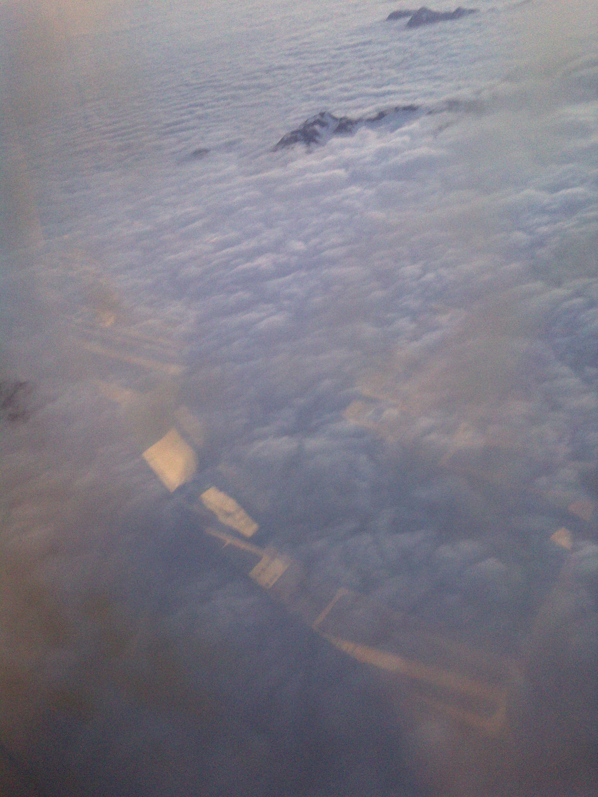 IMG-20110613-00100.jpg