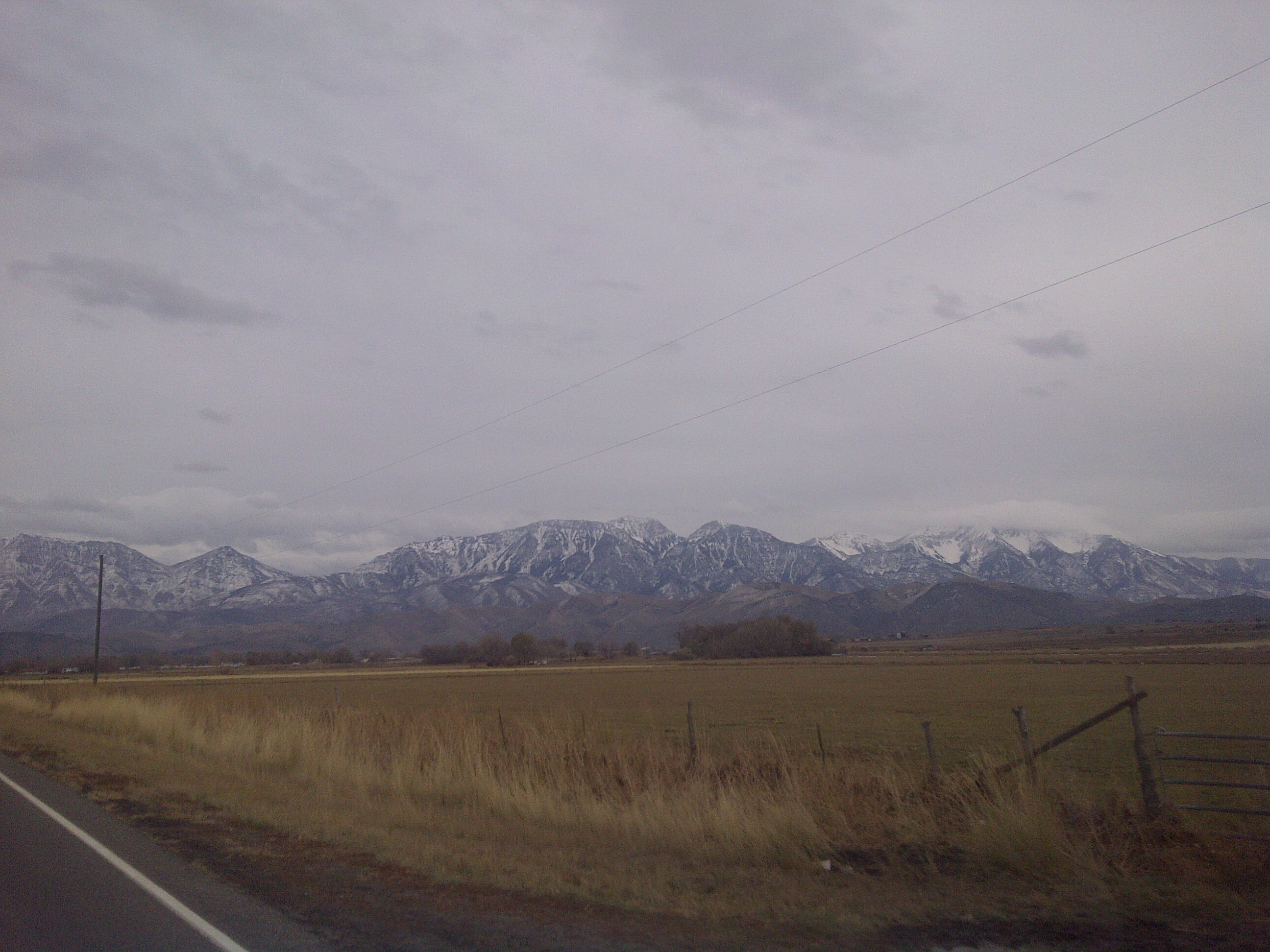 IMG-20111120-00039.jpg