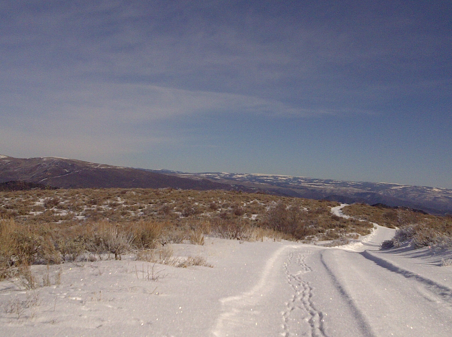 IMG-20111216-00051.jpg
