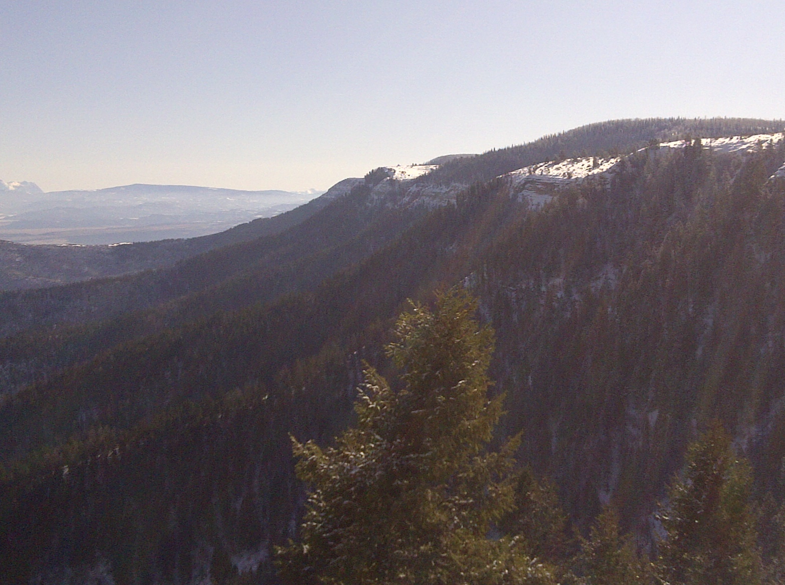 IMG-20111216-00052.jpg